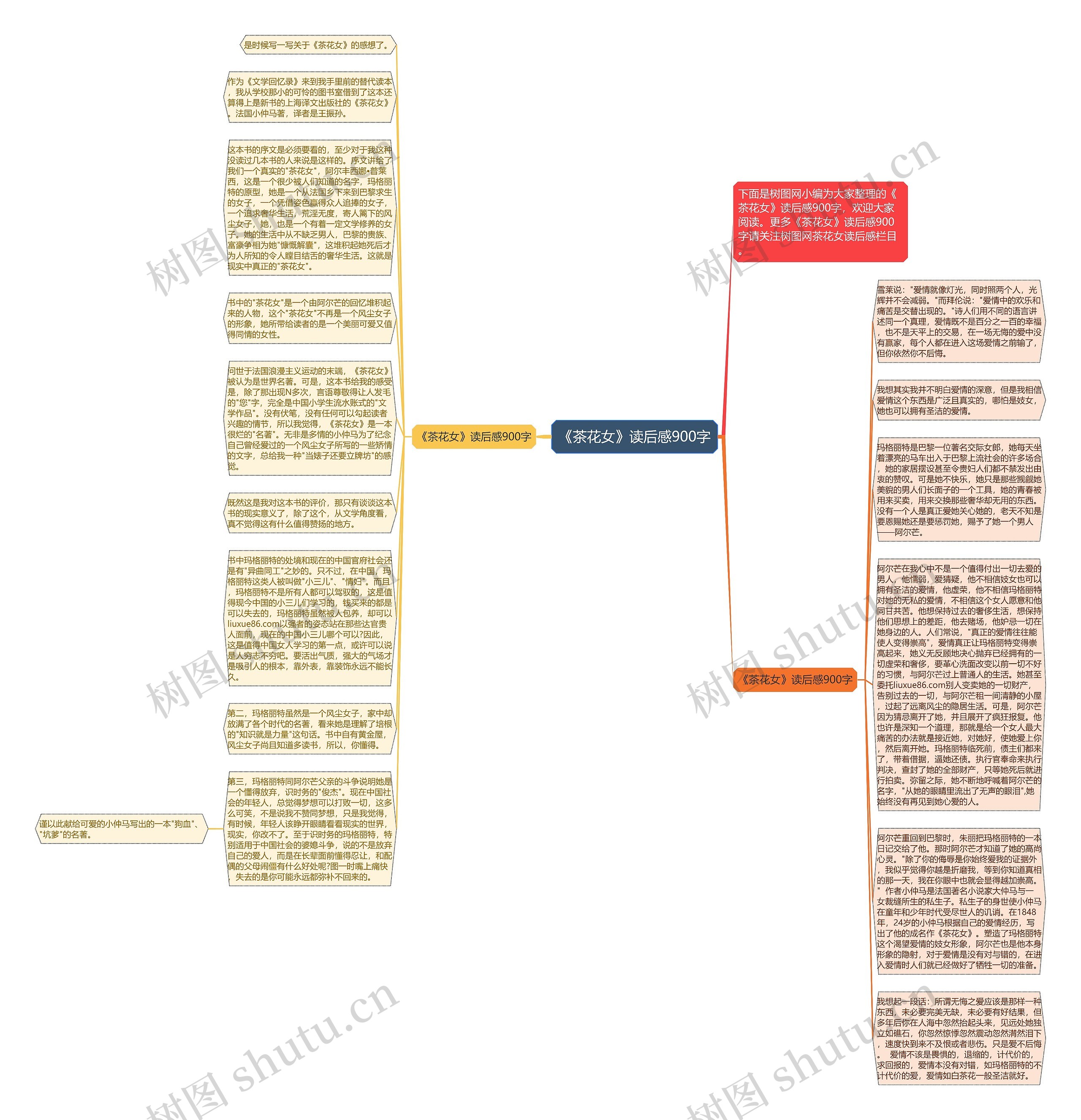 《茶花女》读后感900字思维导图