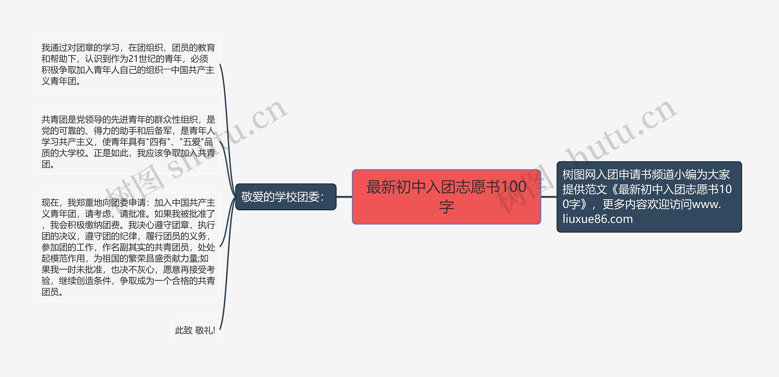 最新初中入团志愿书100字思维导图