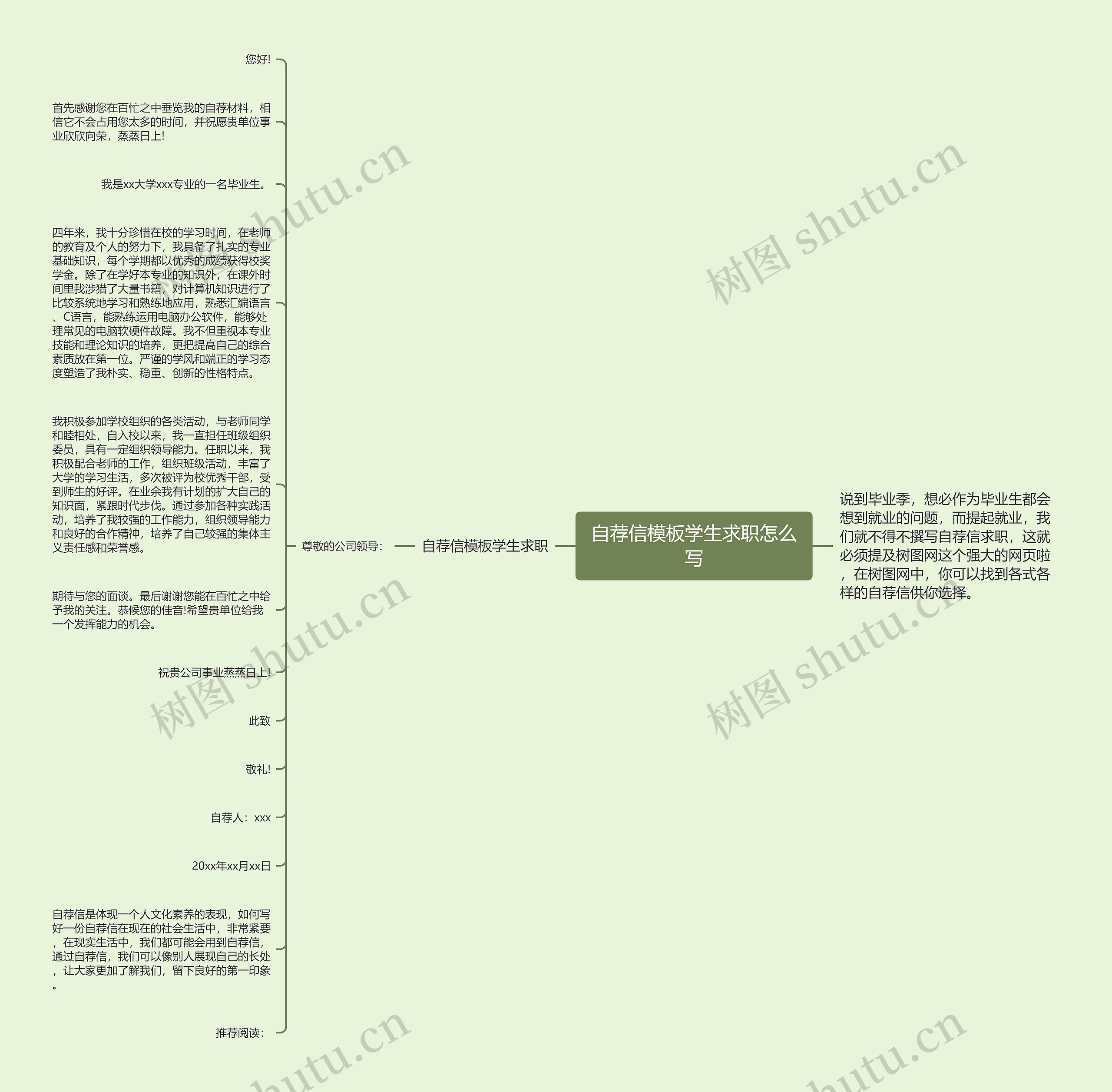 自荐信模板学生求职怎么写