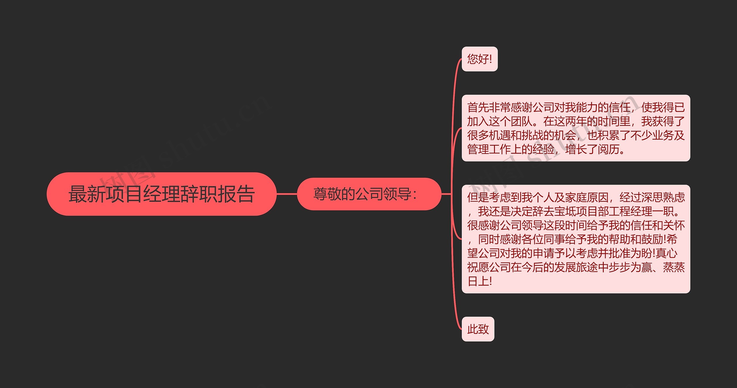 最新项目经理辞职报告思维导图