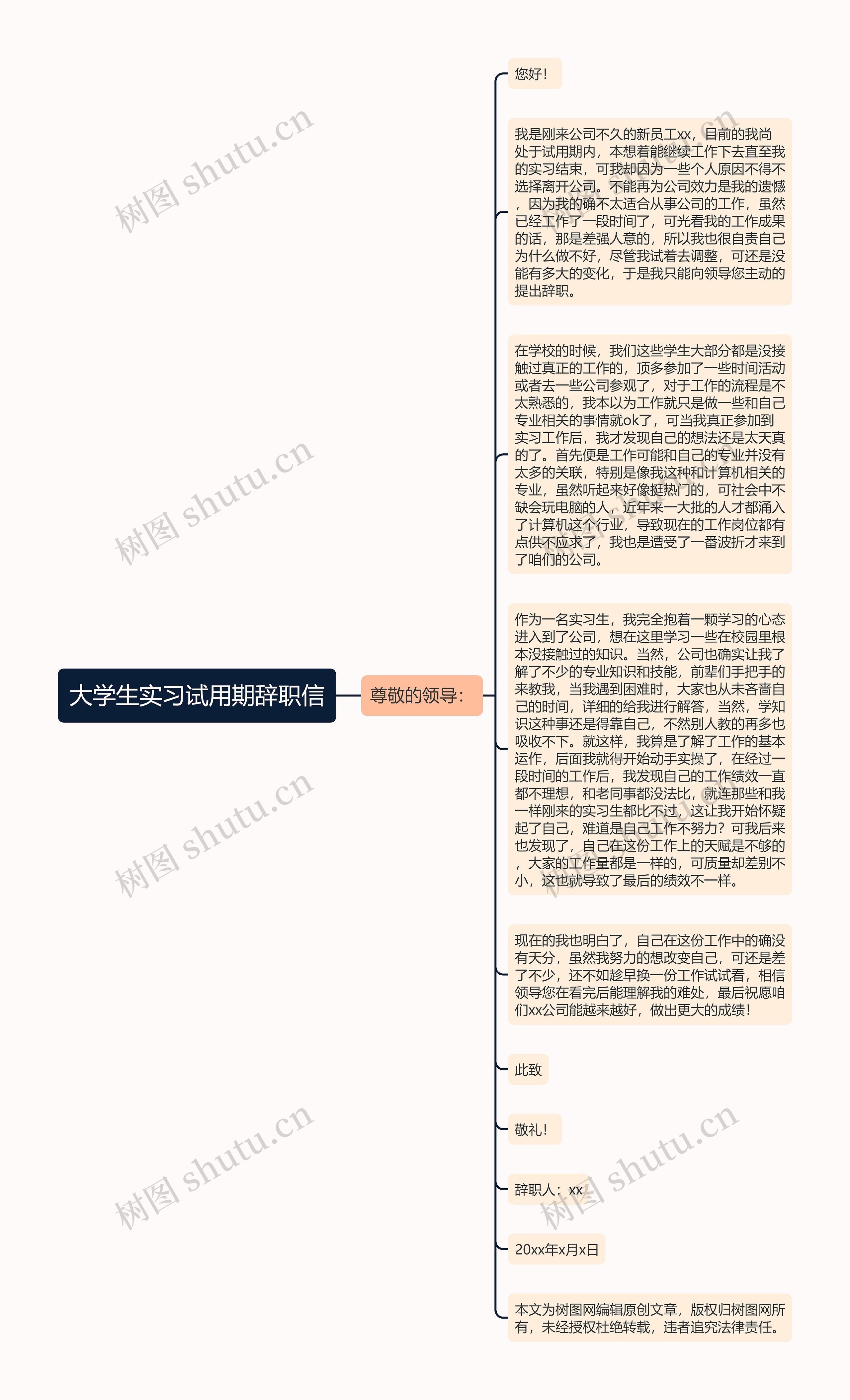 大学生实习试用期辞职信