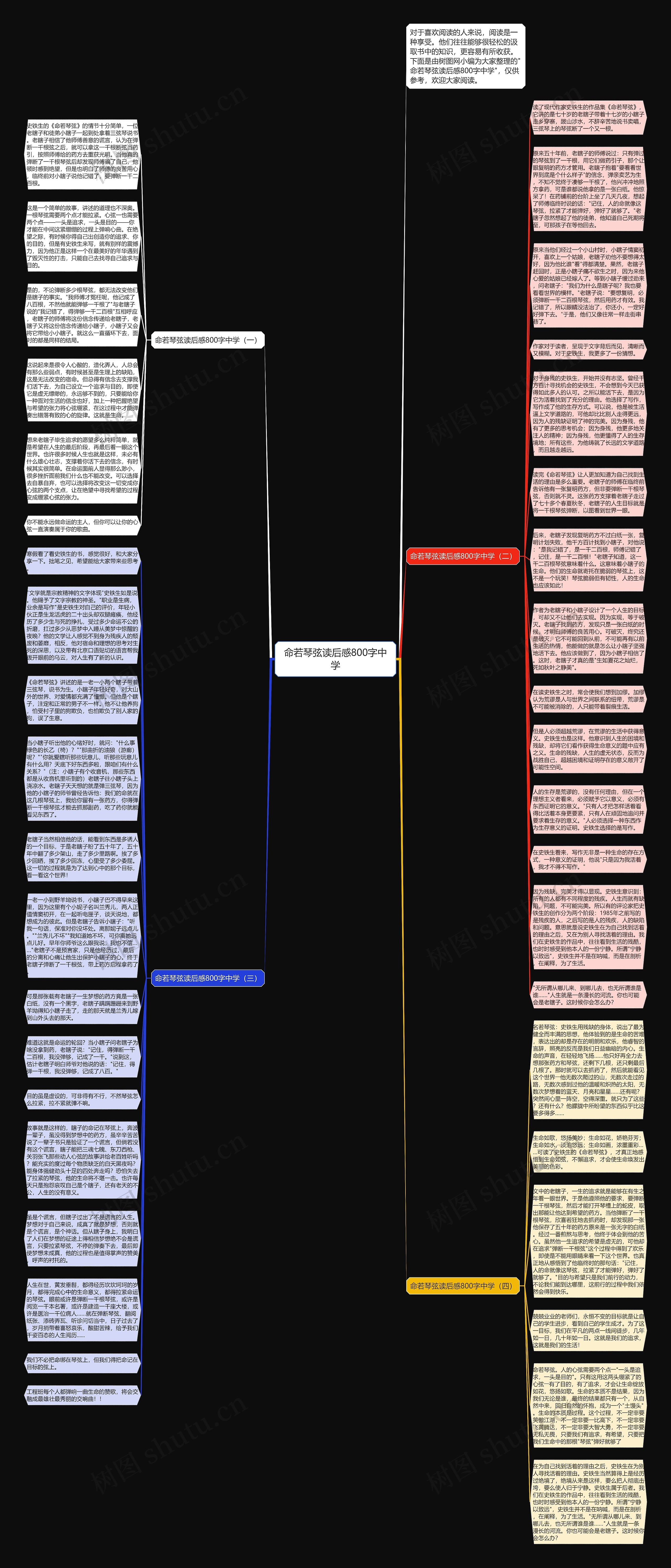 命若琴弦读后感800字中学思维导图