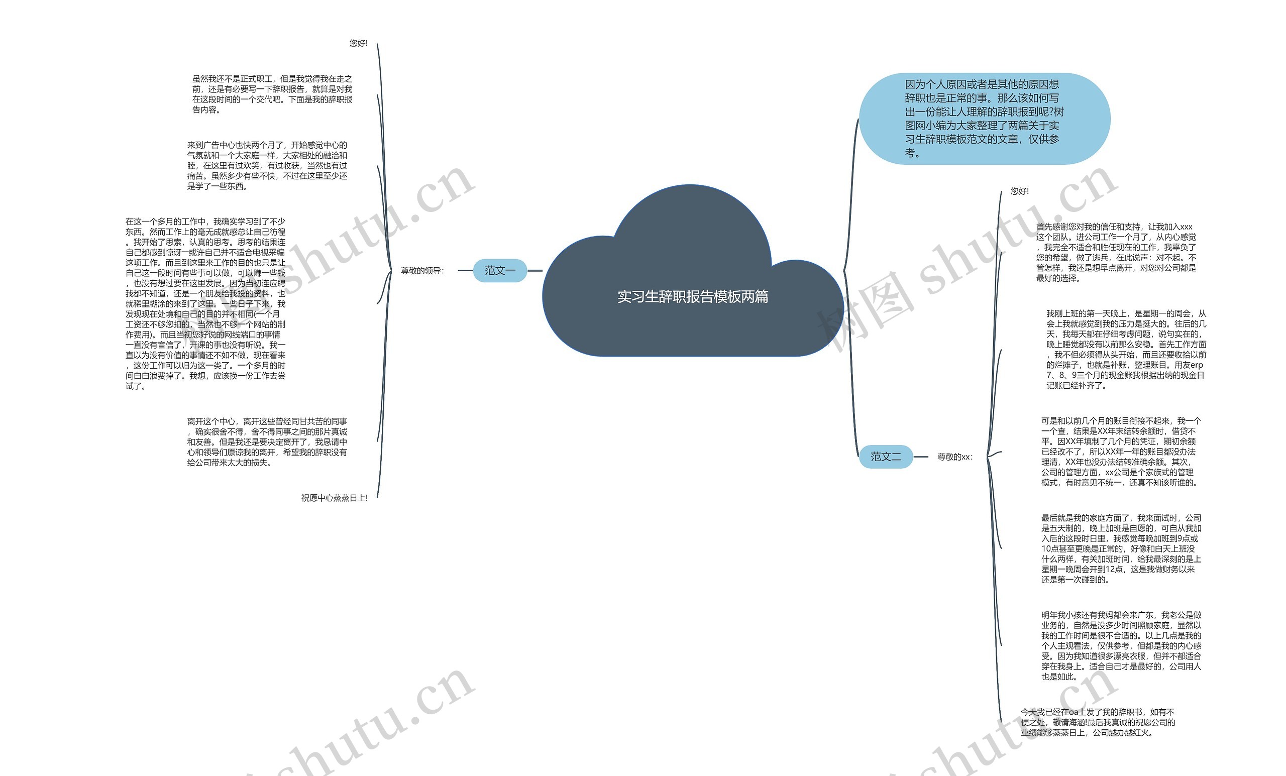 实习生辞职报告两篇思维导图