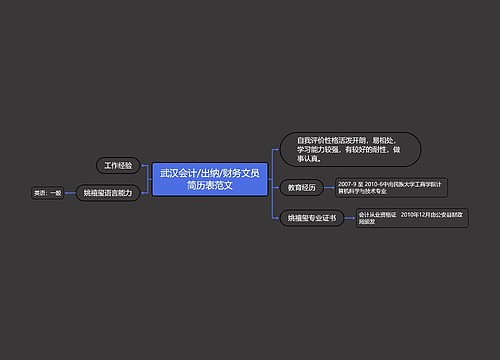 武汉会计/出纳/财务文员简历表范文