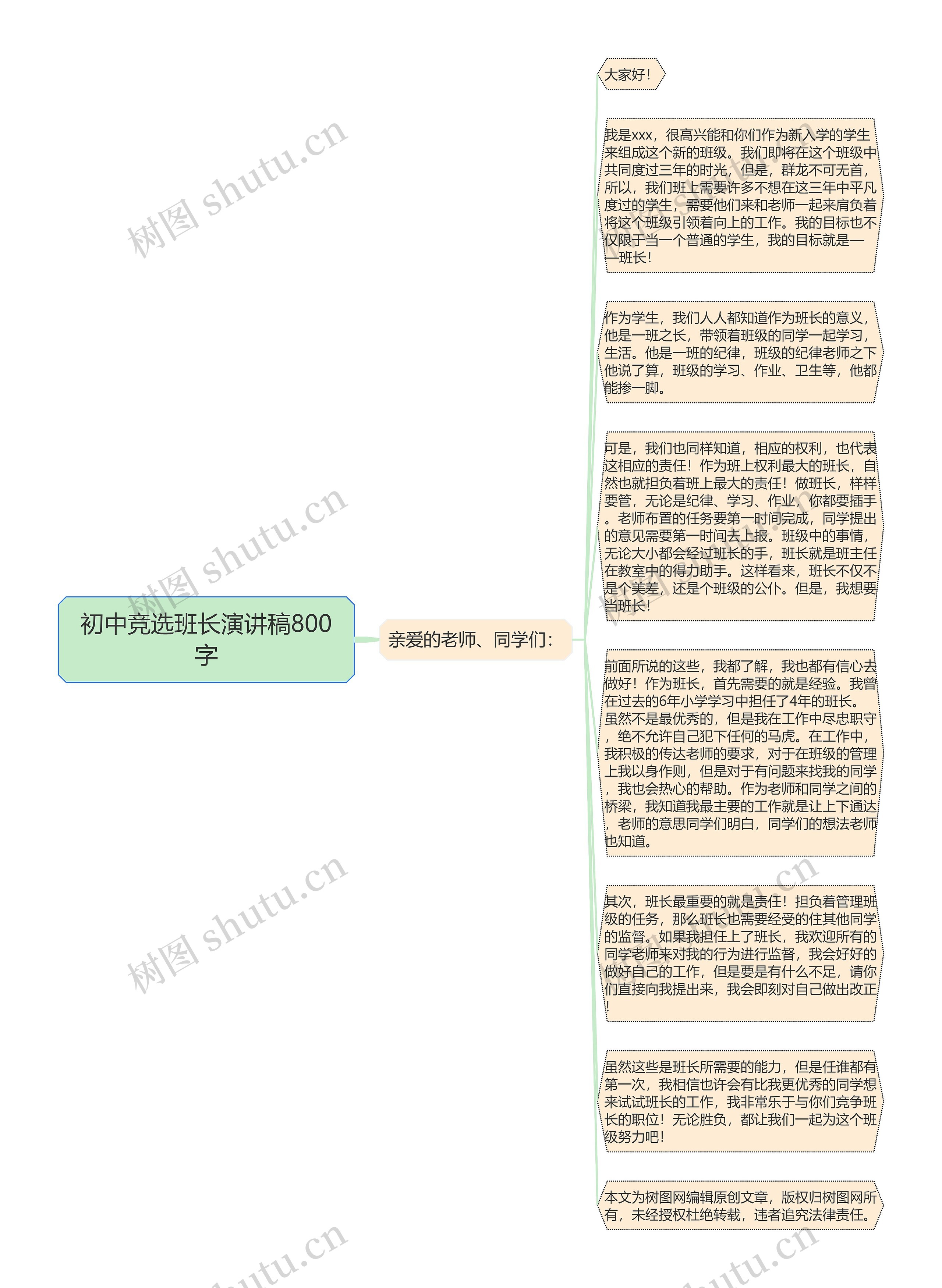 初中竞选班长演讲稿800字