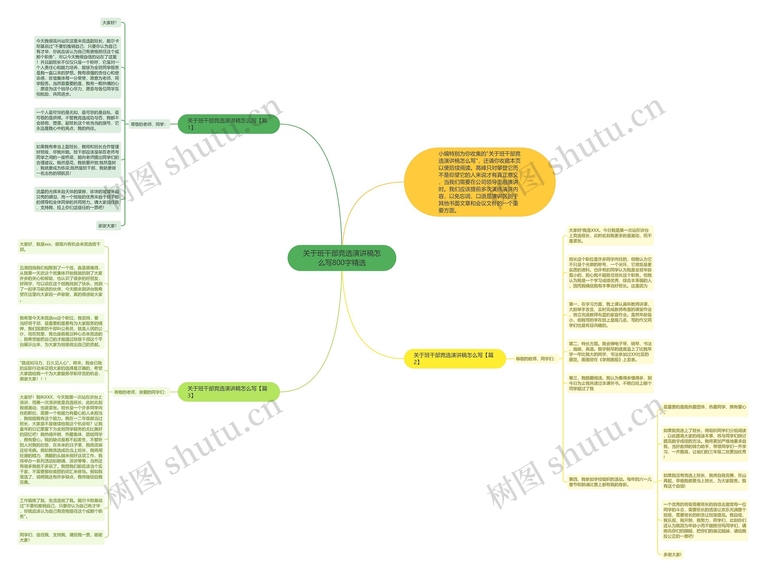 关于班干部竞选演讲稿怎么写800字精选思维导图