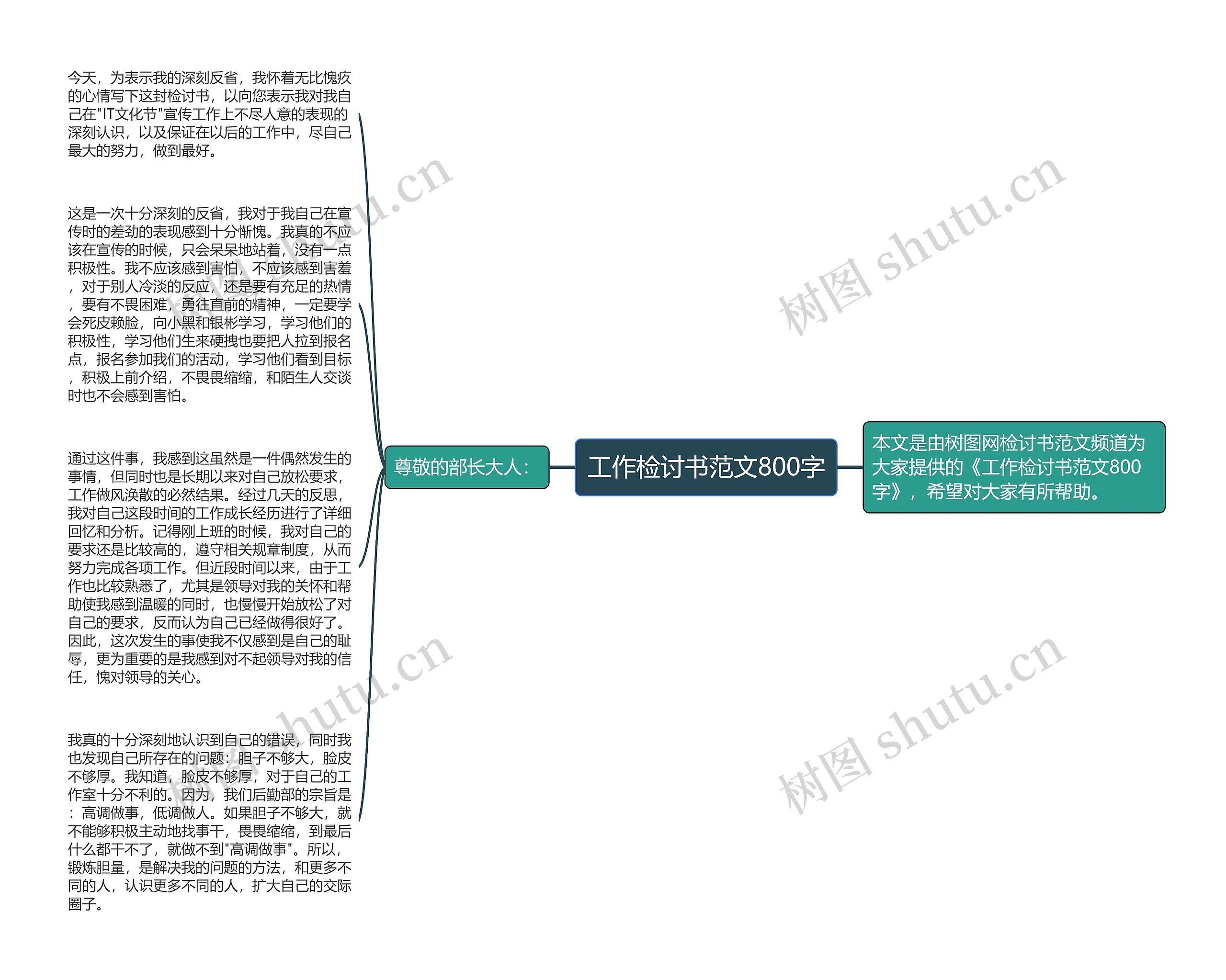 工作检讨书范文800字