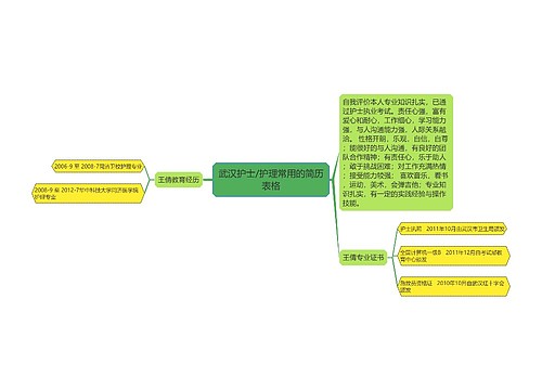 武汉护士/护理常用的简历表格