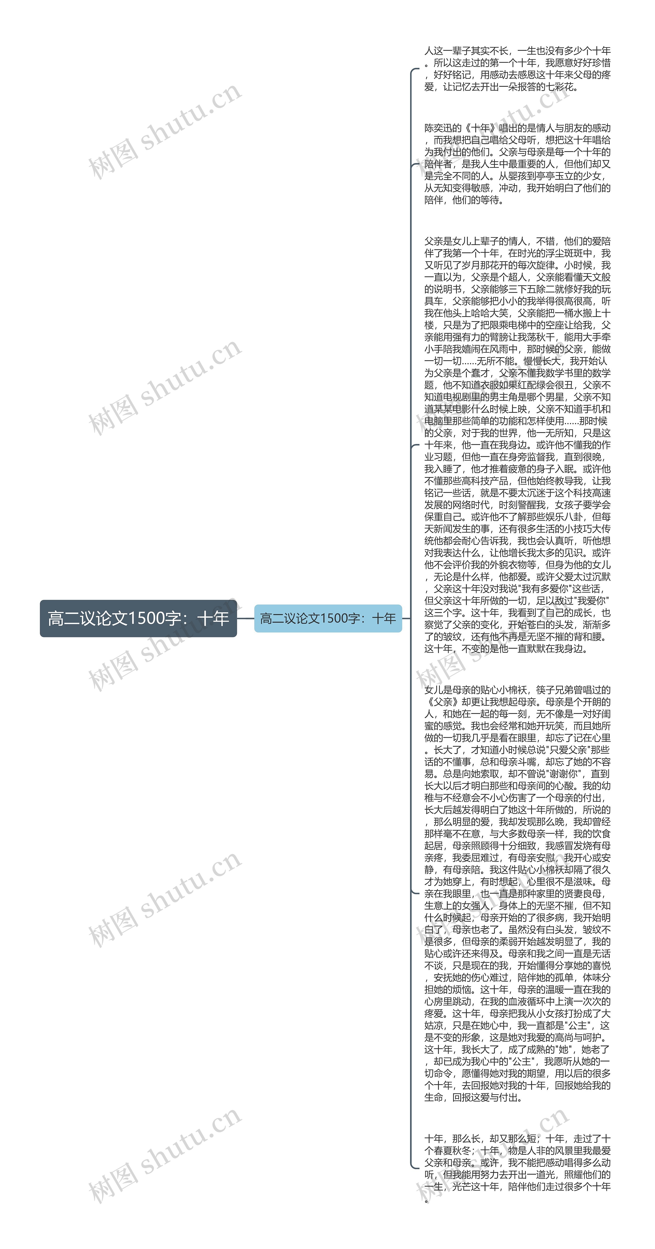 高二议论文1500字：十年思维导图