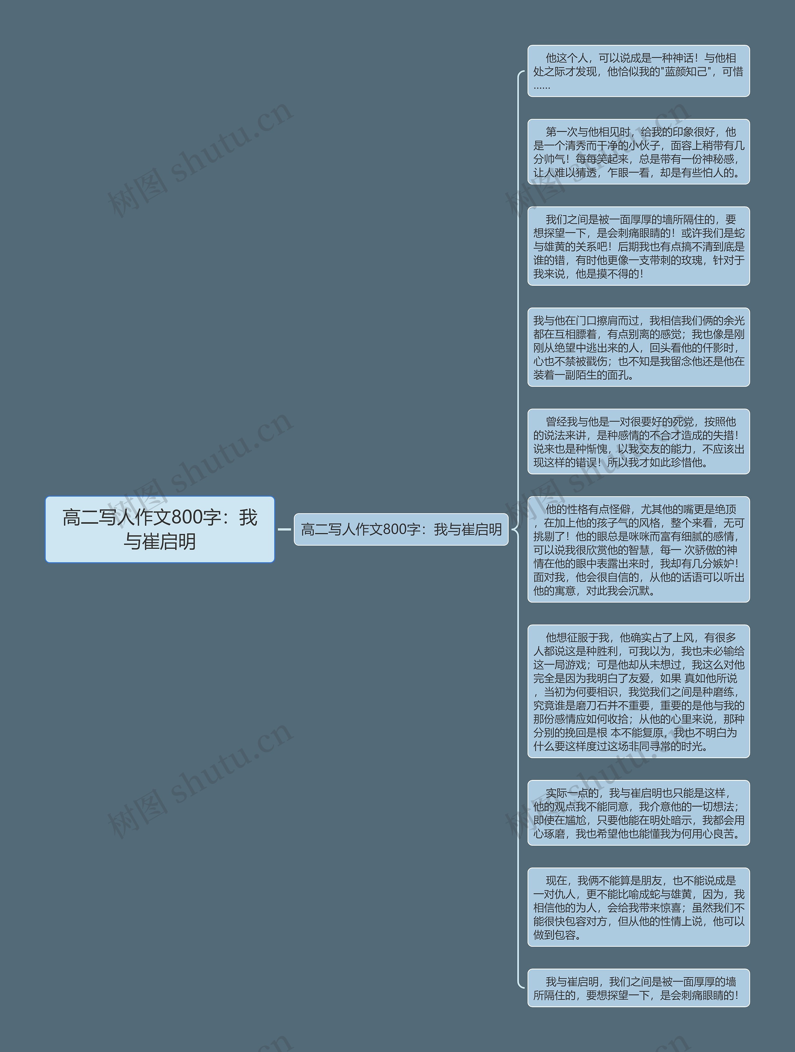 高二写人作文800字：我与崔启明思维导图