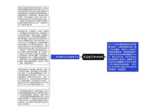 市卫生工作计划书