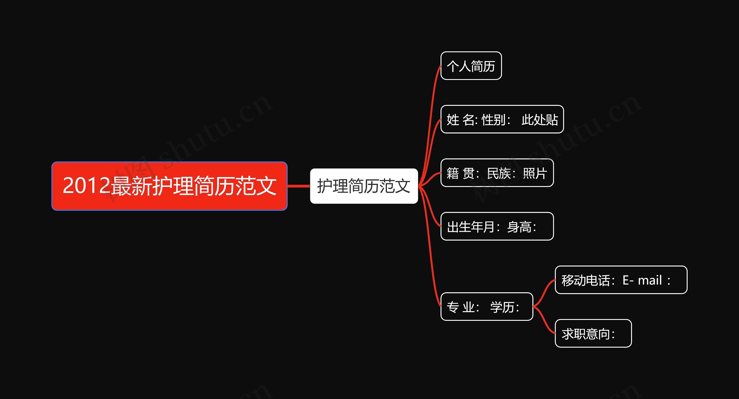 2012最新护理简历范文思维导图