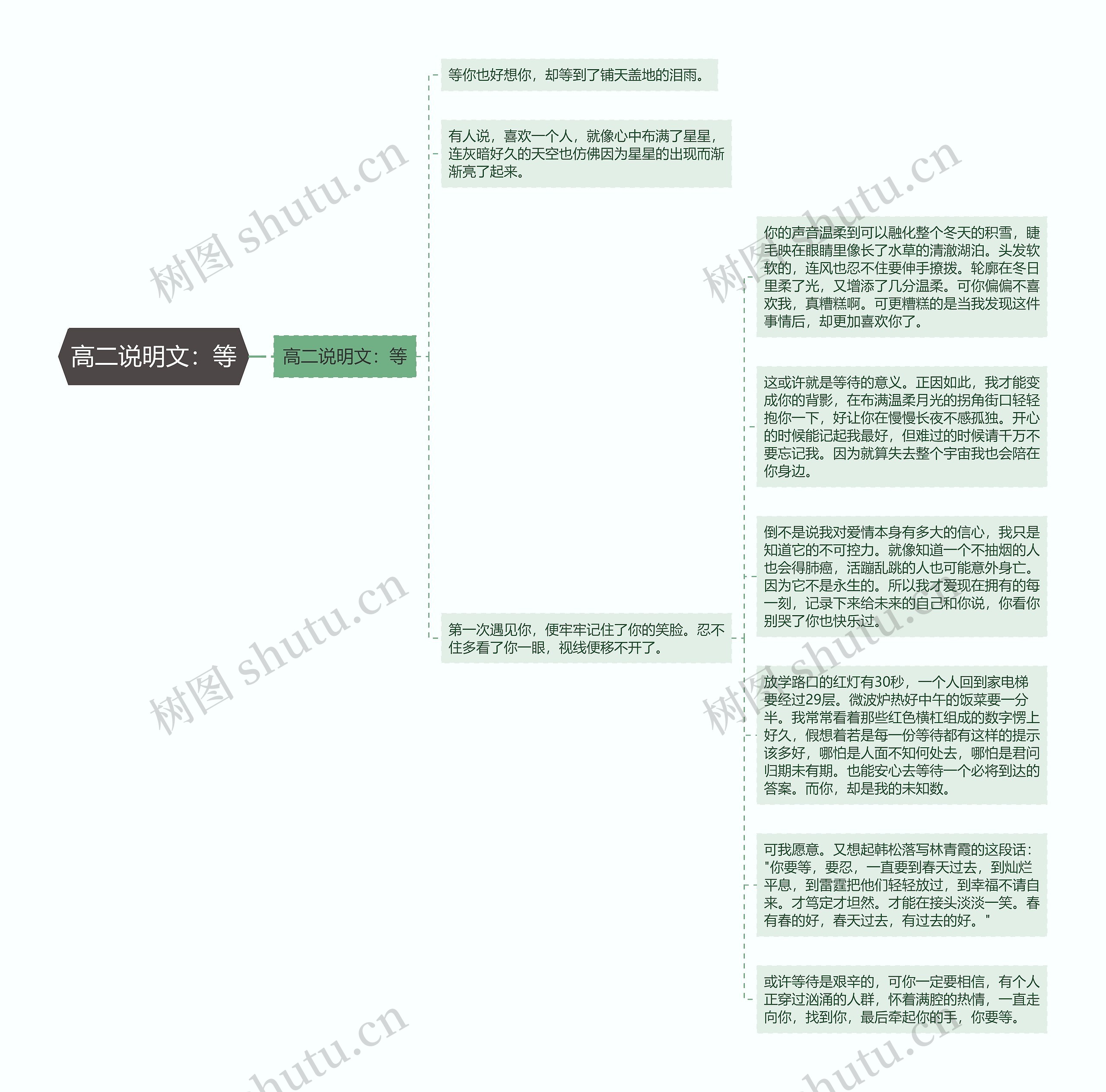 高二说明文：等思维导图