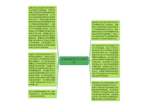 公司新业务员工作计划2020