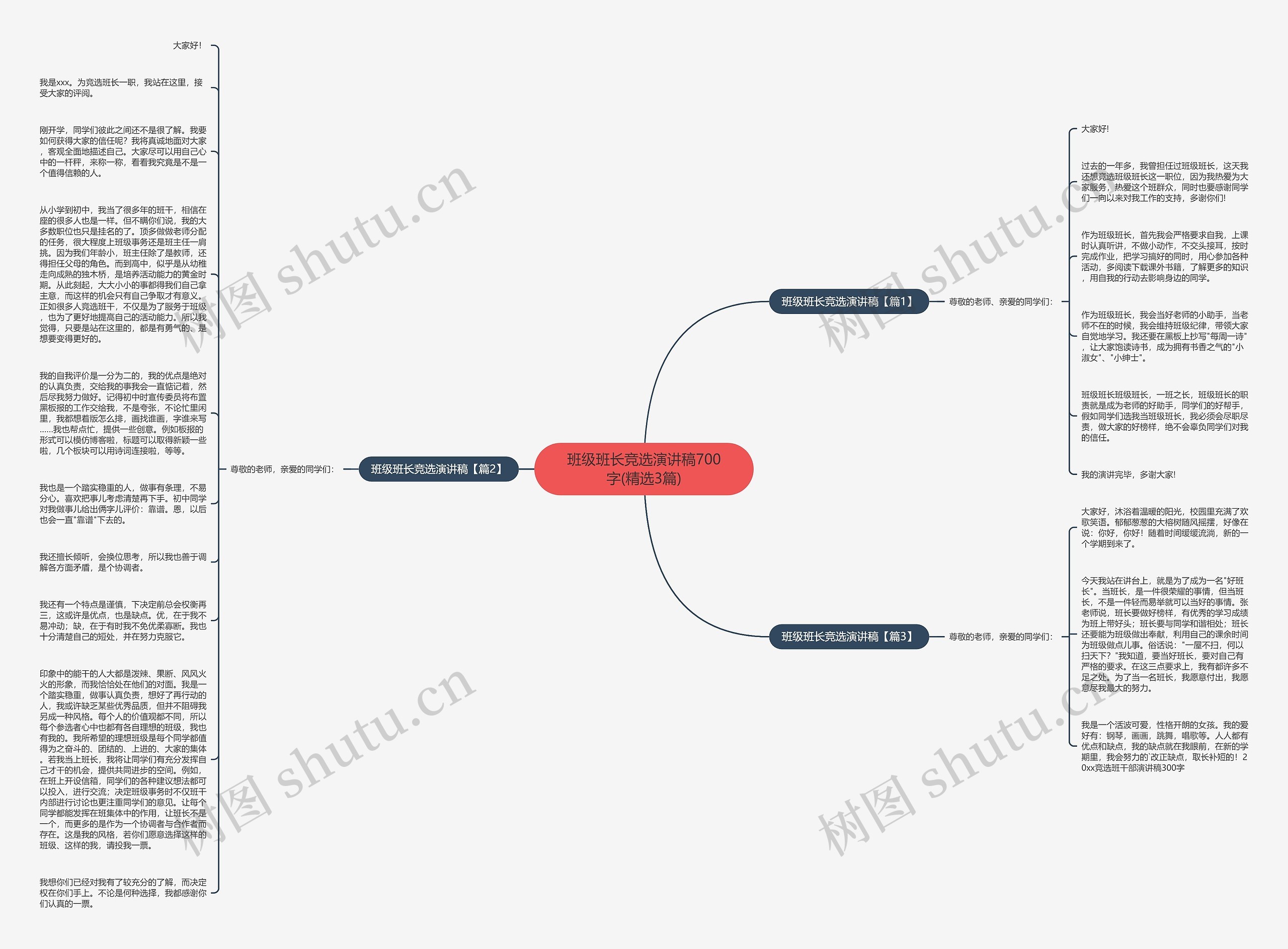 班级班长竞选演讲稿700字(精选3篇)思维导图