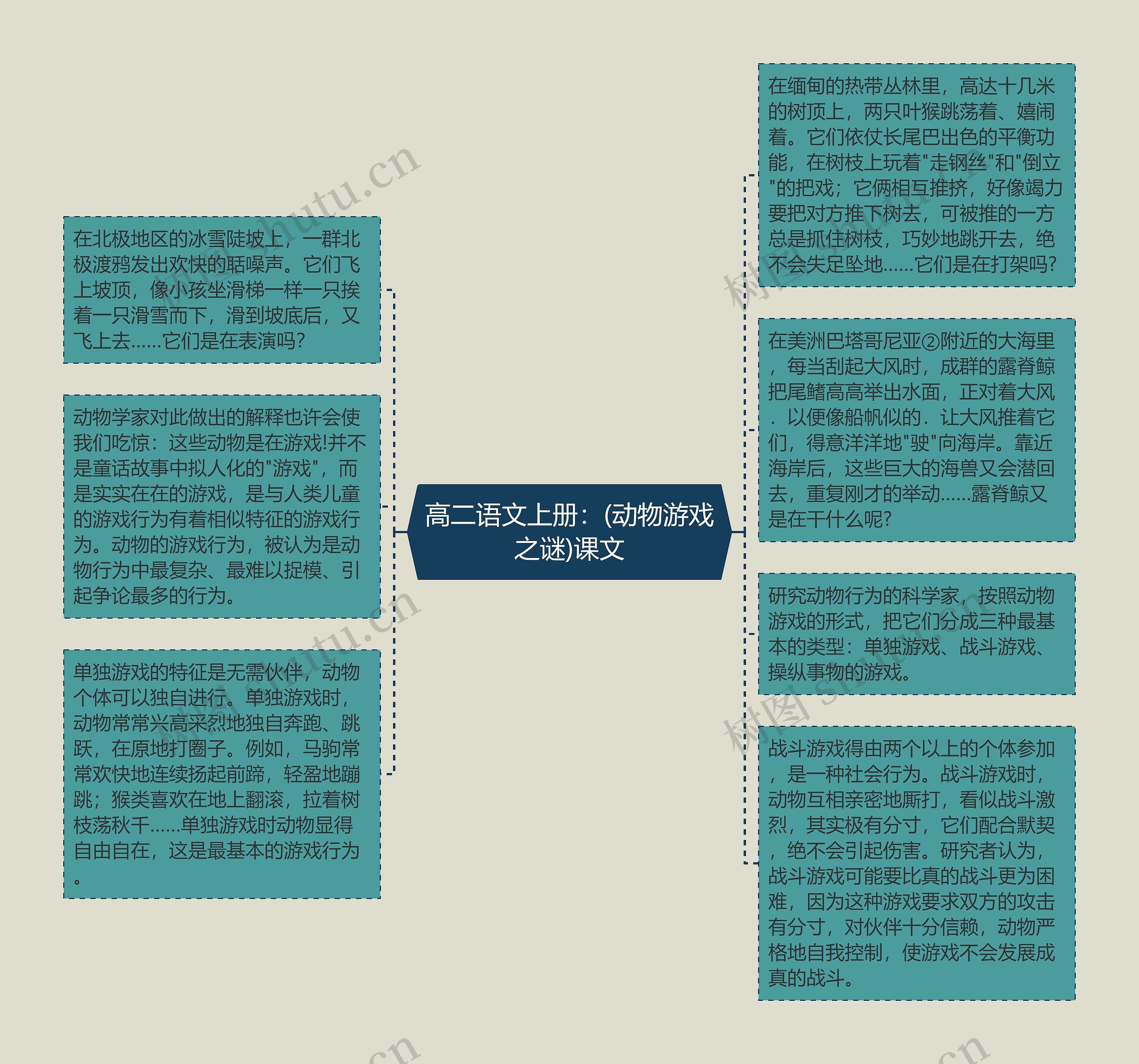 高二语文上册:(动物游戏之谜)课文思维导图高清图 高二语文上册:(动物游戏之谜)课文思维导图