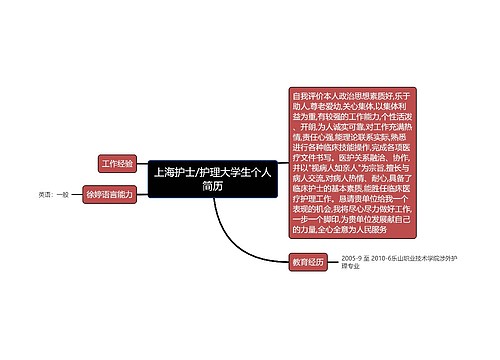 上海护士/护理大学生个人简历