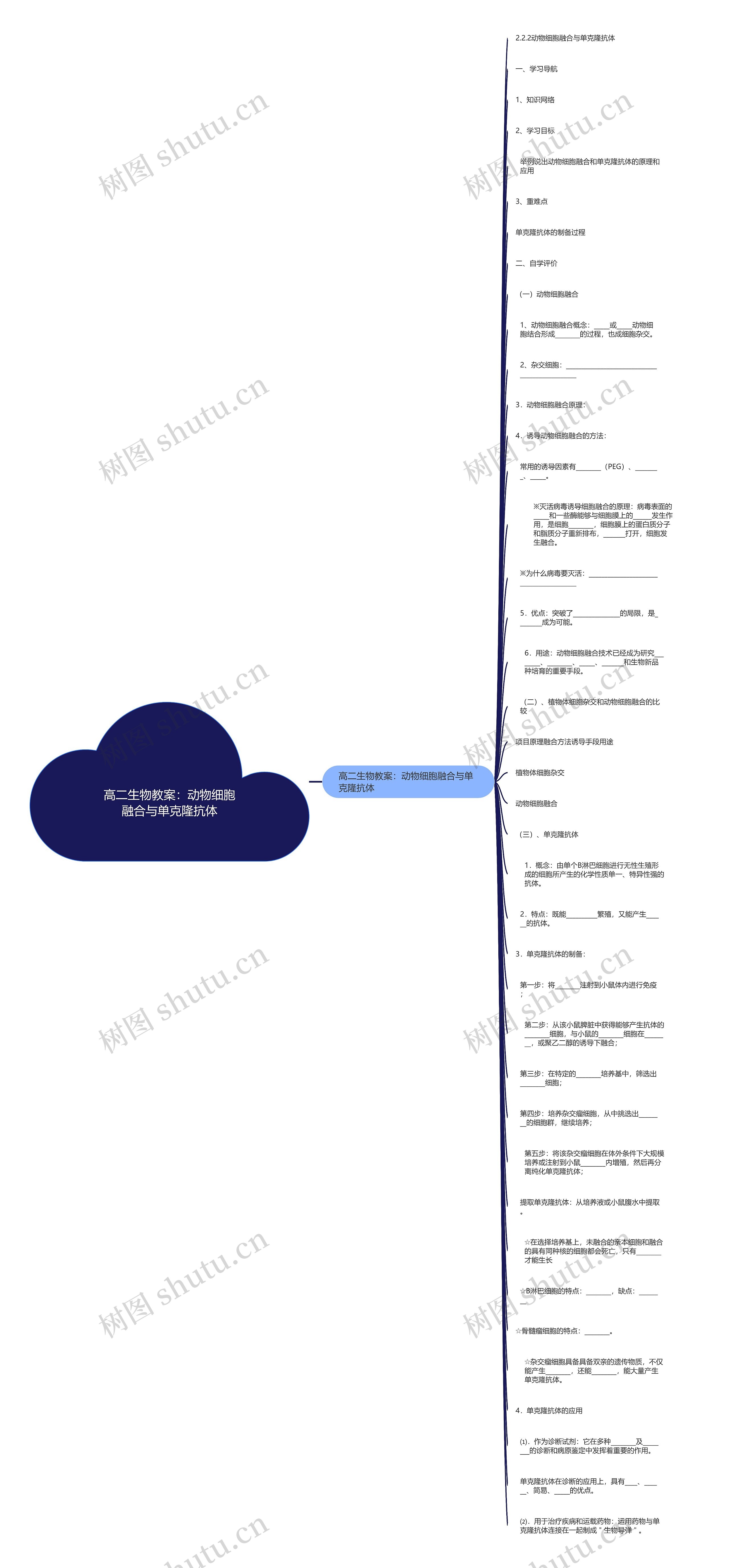 高二生物教案：动物细胞融合与单克隆抗体思维导图