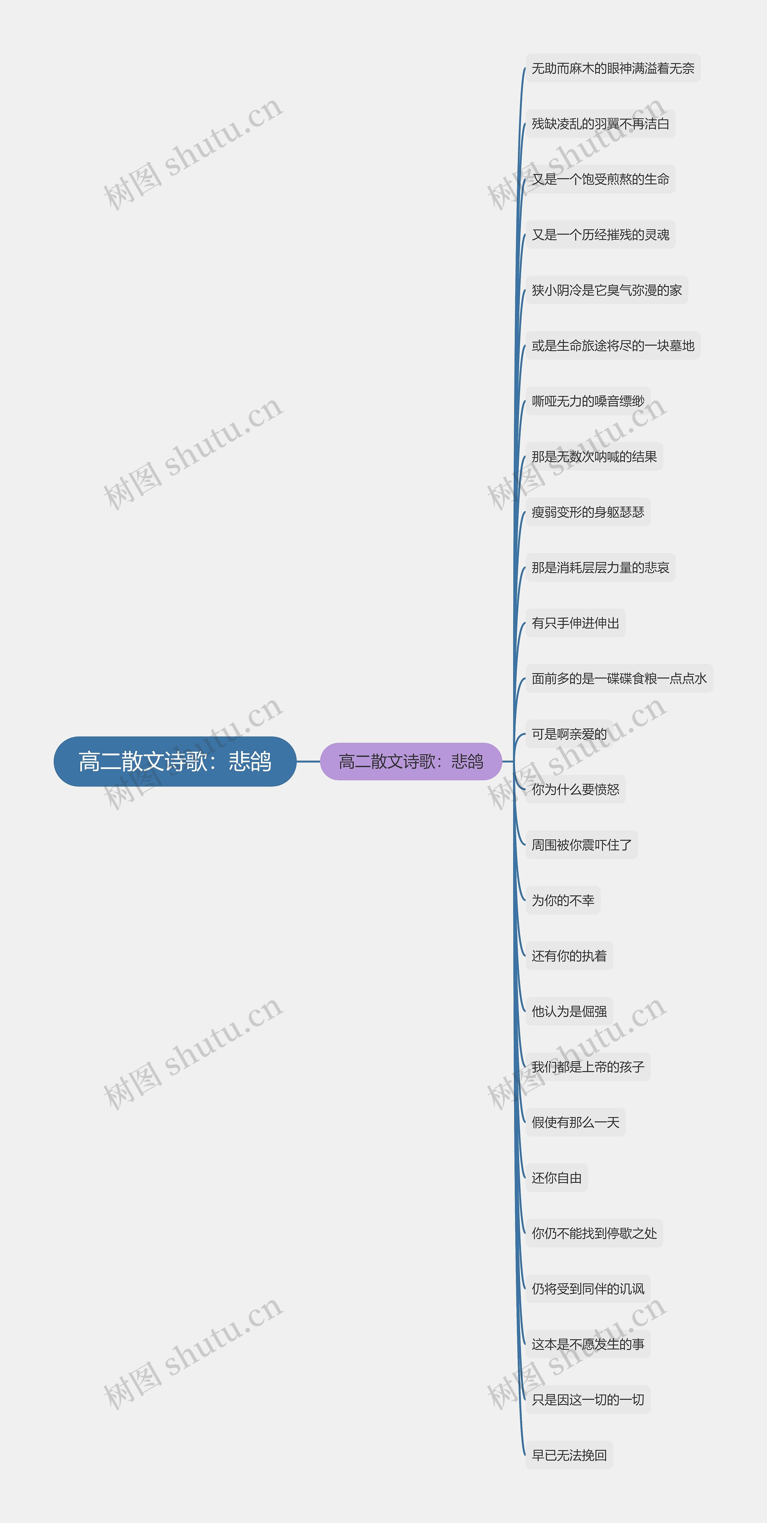 高二散文诗歌：悲鸽思维导图