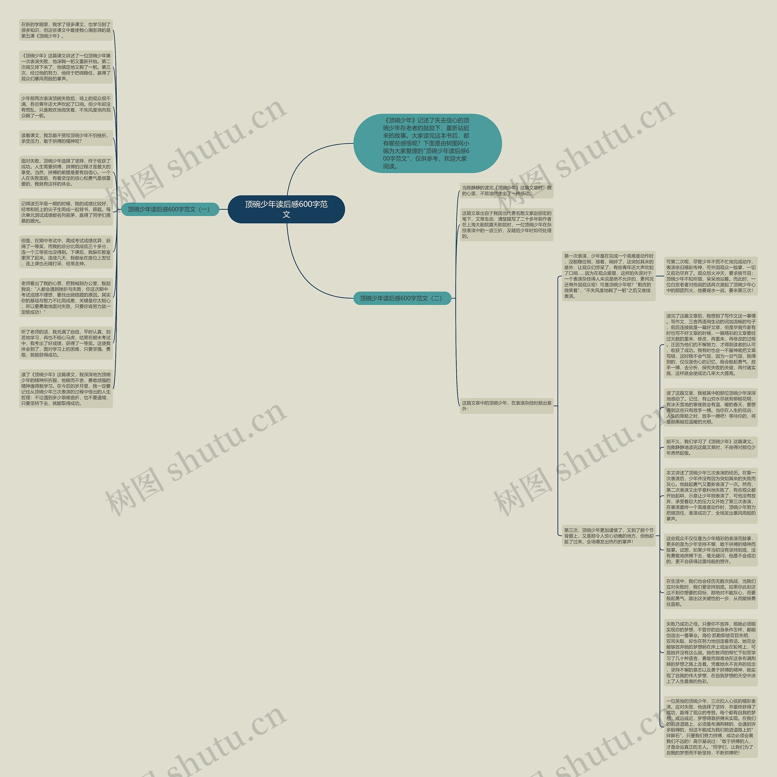 顶碗少年读后感600字范文思维导图