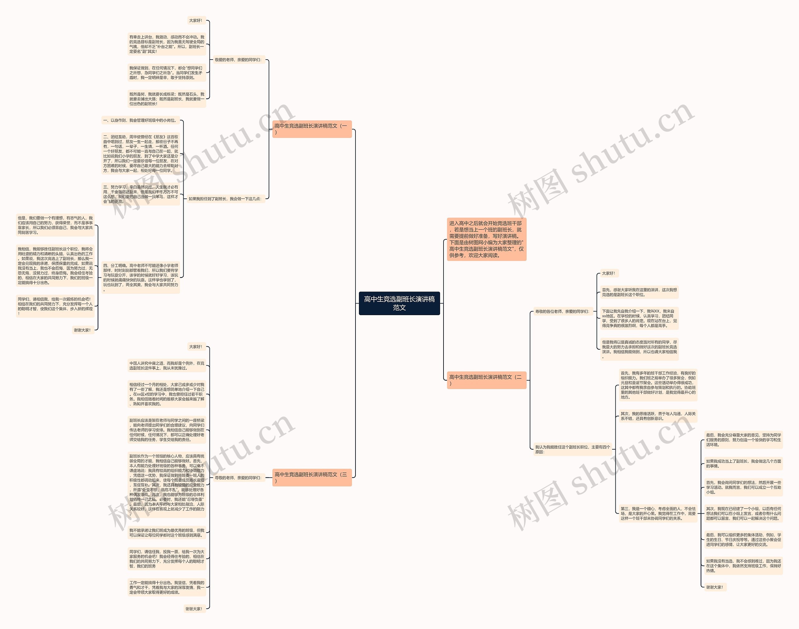 高中生竞选副班长演讲稿范文思维导图高清图 高中生竞选副班长演讲稿范文思维导图