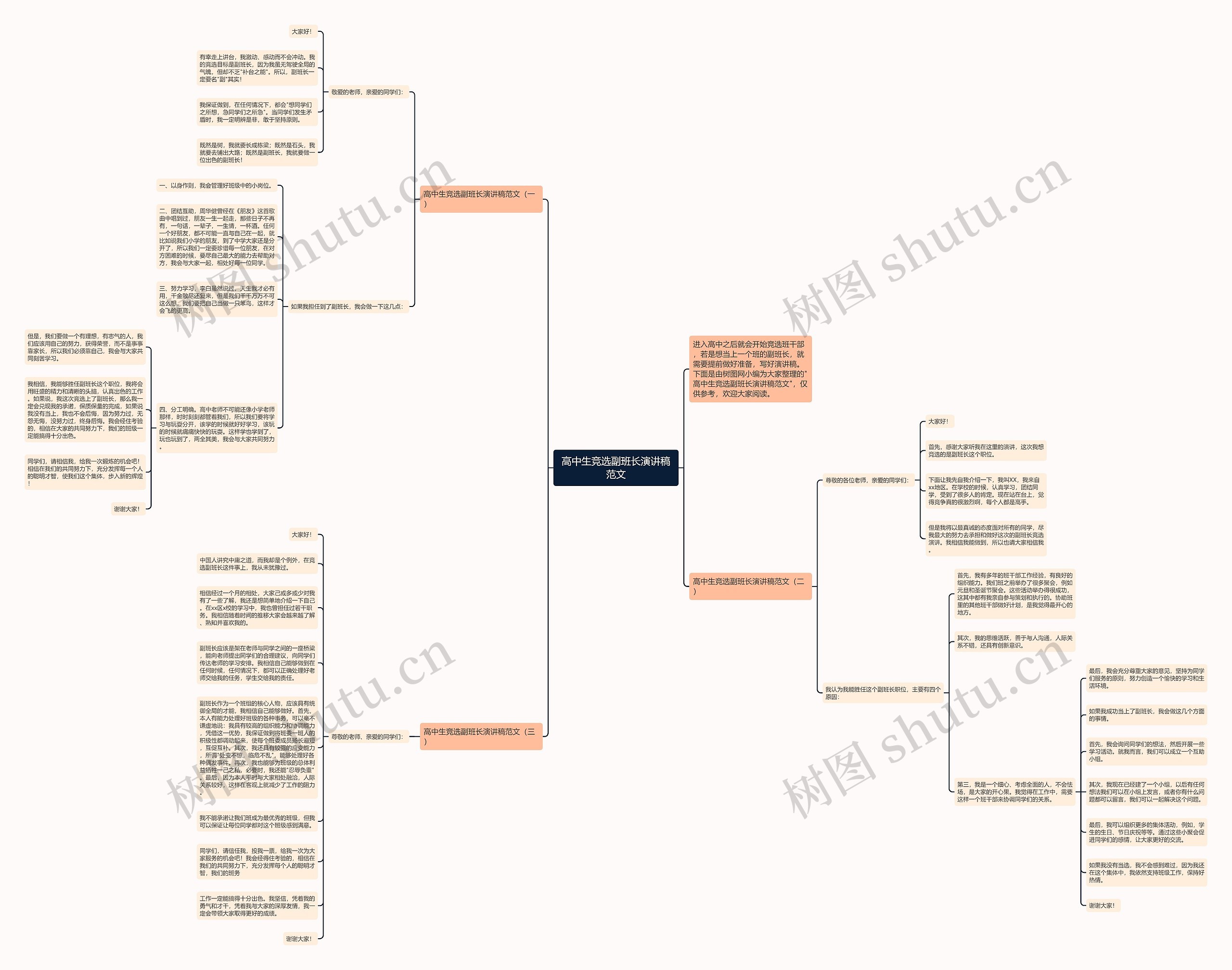 高中生竞选副班长演讲稿范文思维导图