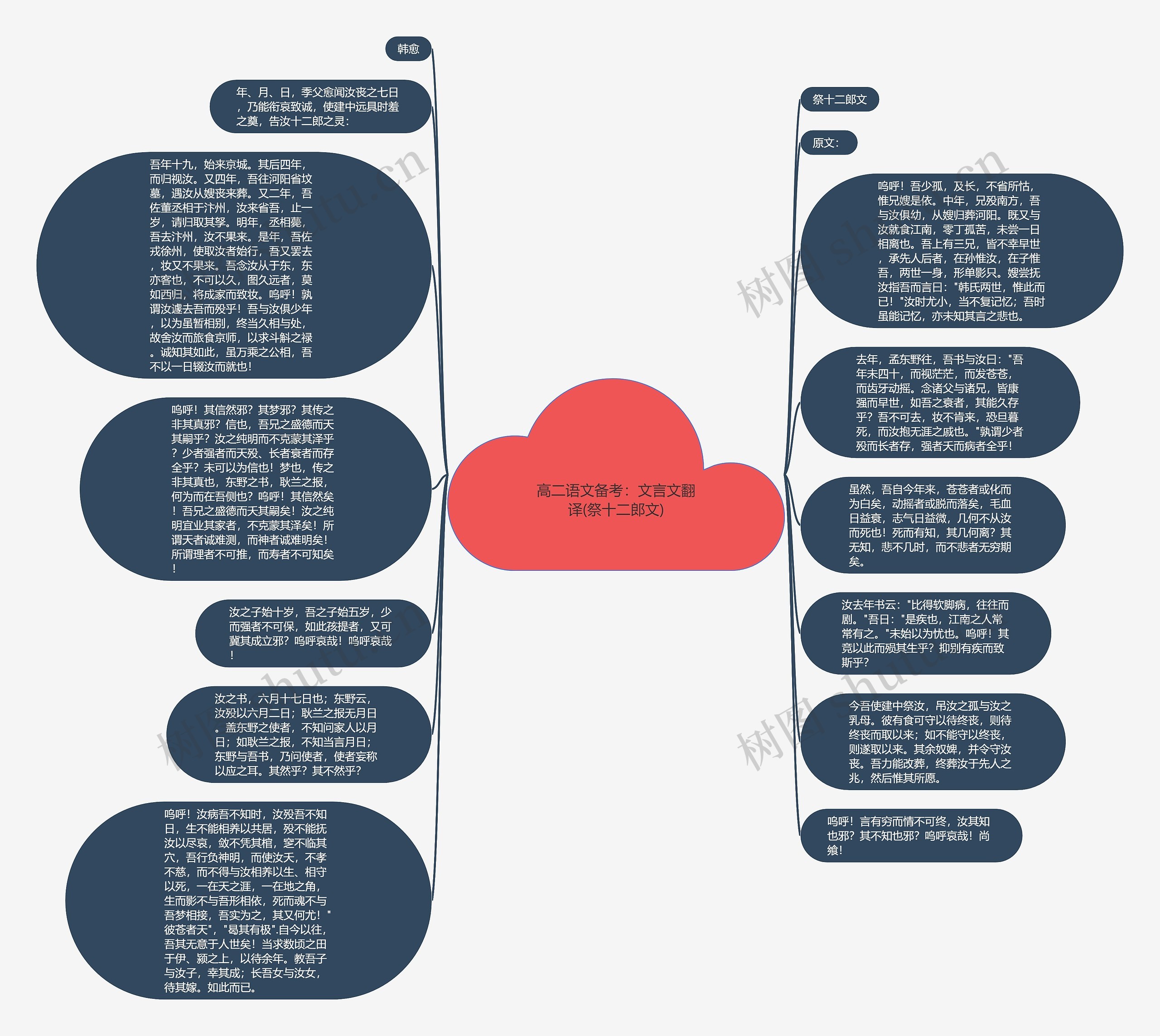 高二语文备考：文言文翻译(祭十二郎文)思维导图