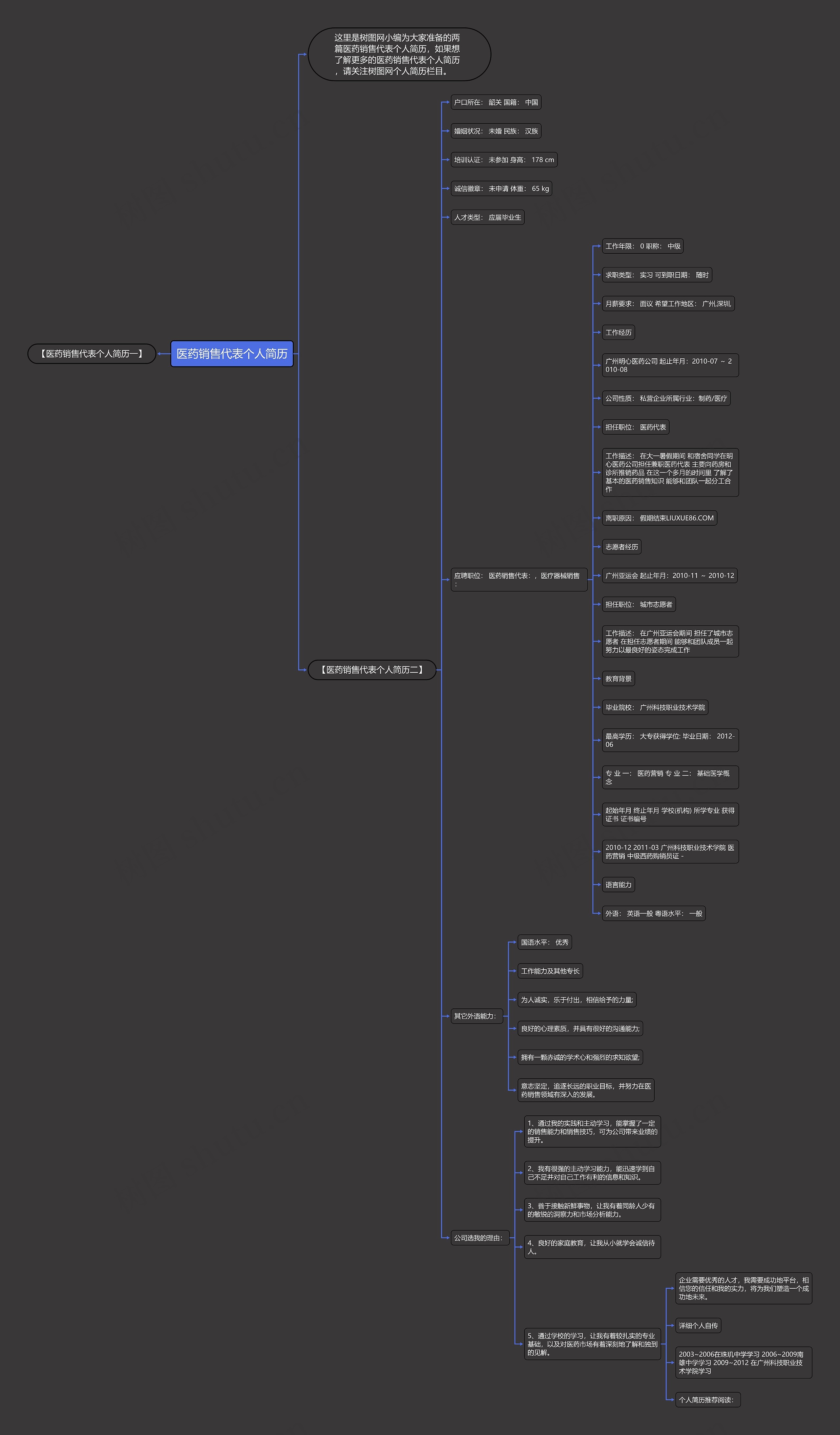 医药销售代表个人简历思维导图