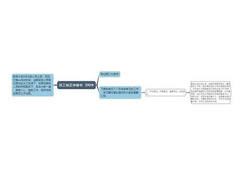 员工转正申请书  300字