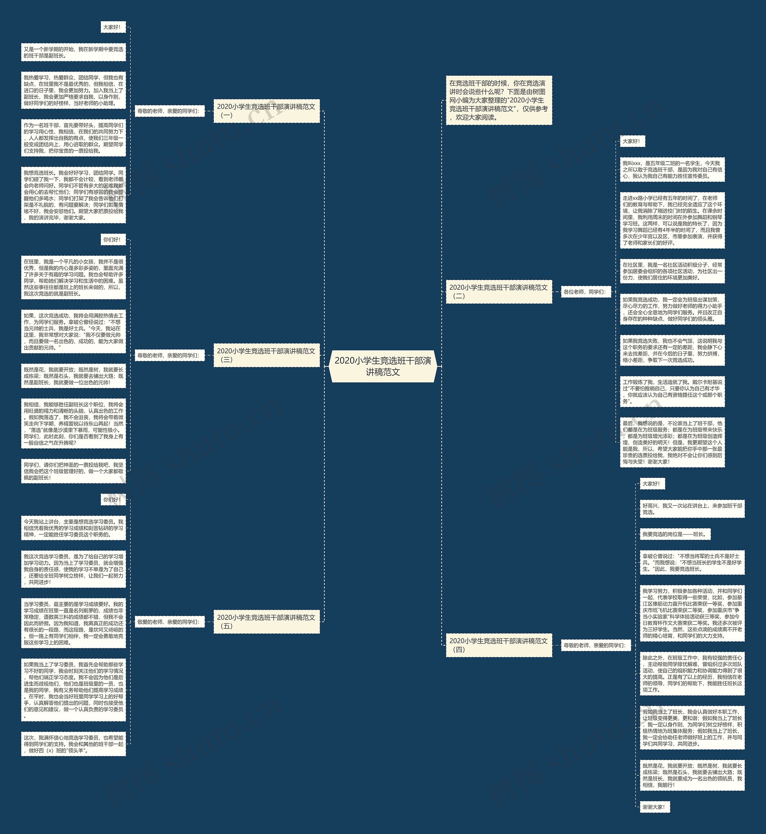2020小学生竞选班干部演讲稿范文思维导图