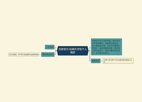 北京会计/出纳大学生个人简历