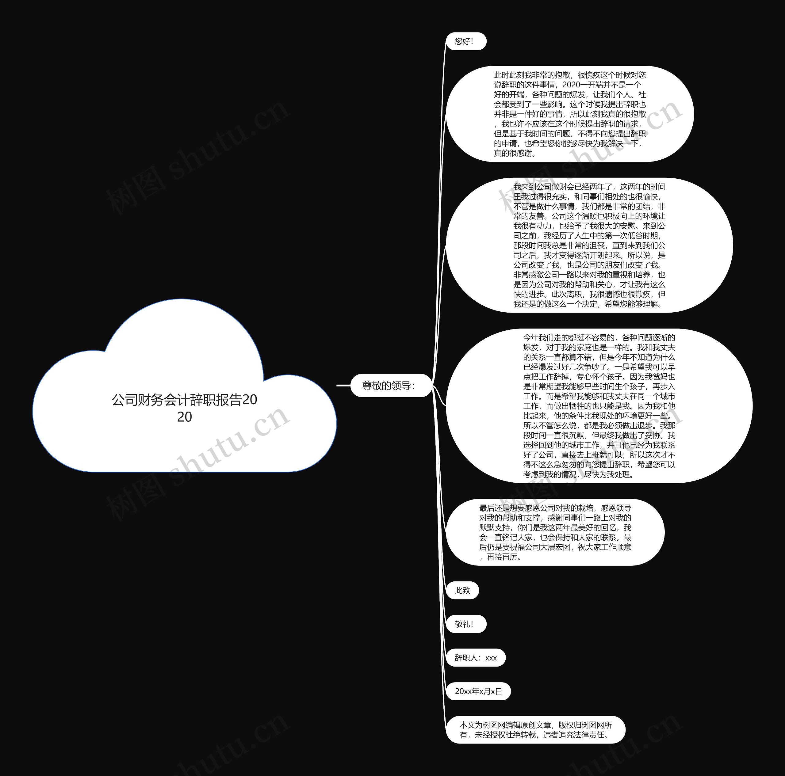 公司财务会计辞职报告2020思维导图