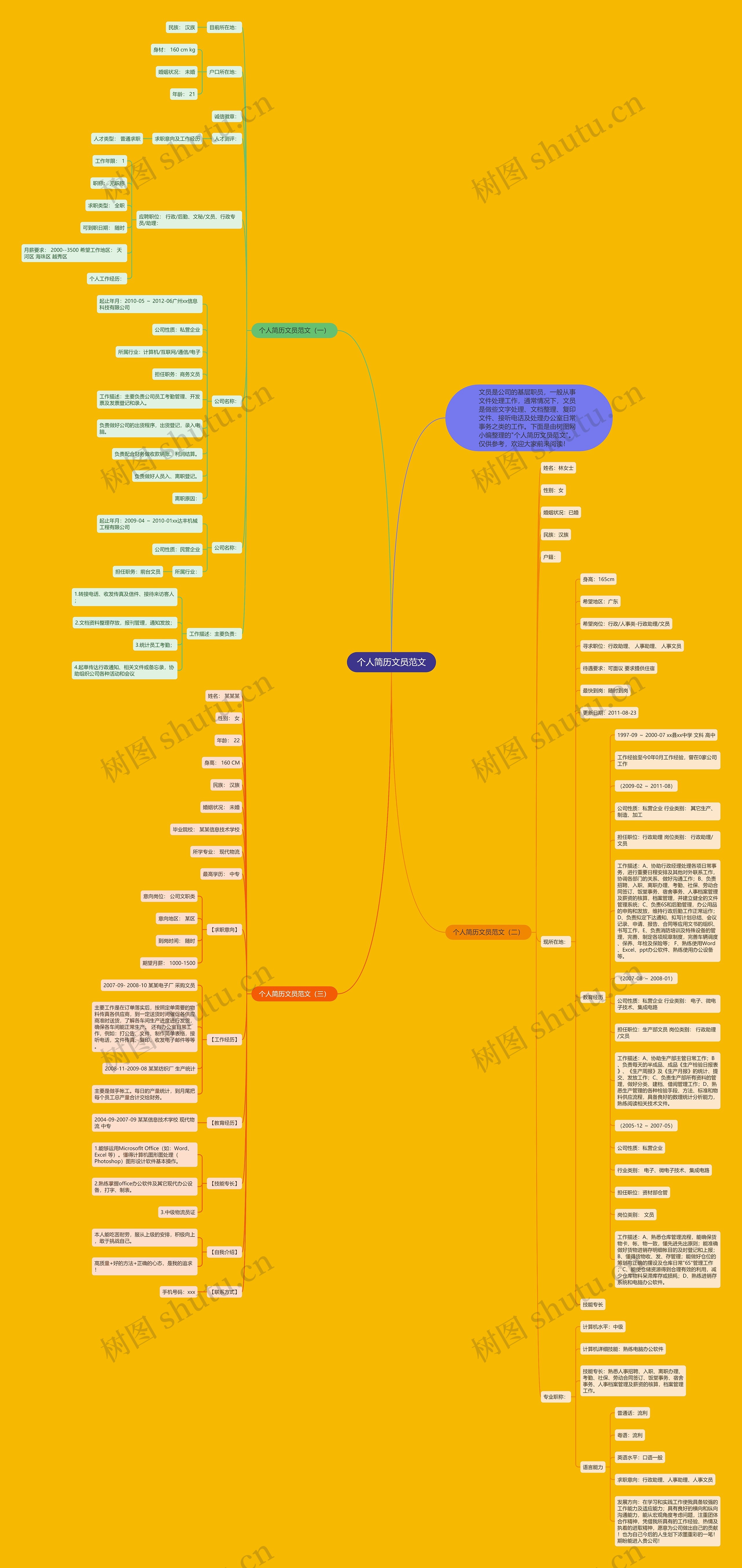 个人简历文员范文思维导图