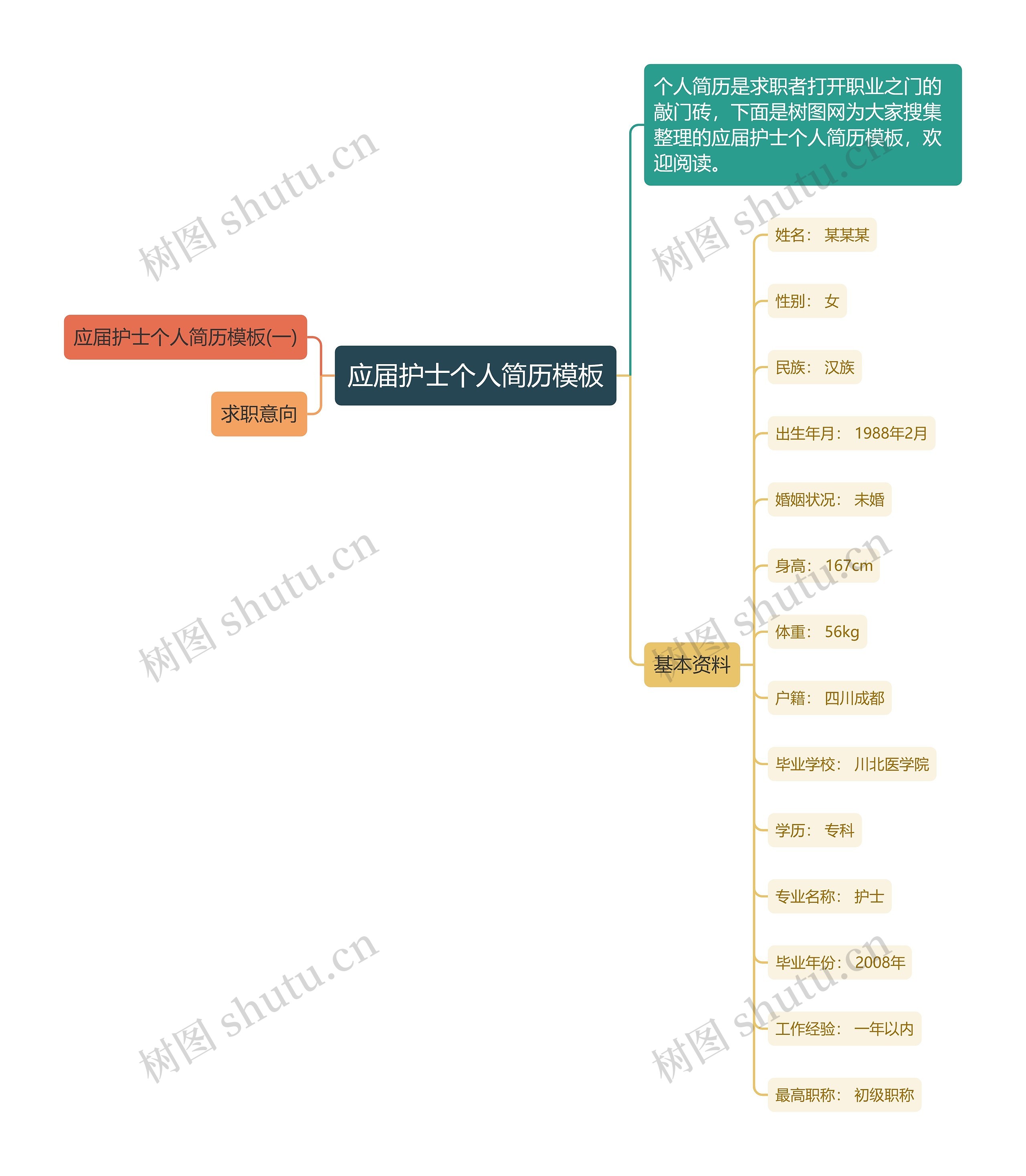 应届护士个人简历思维导图