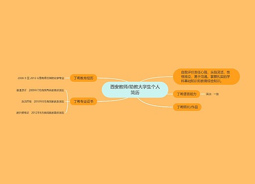 西安教师/助教大学生个人简历