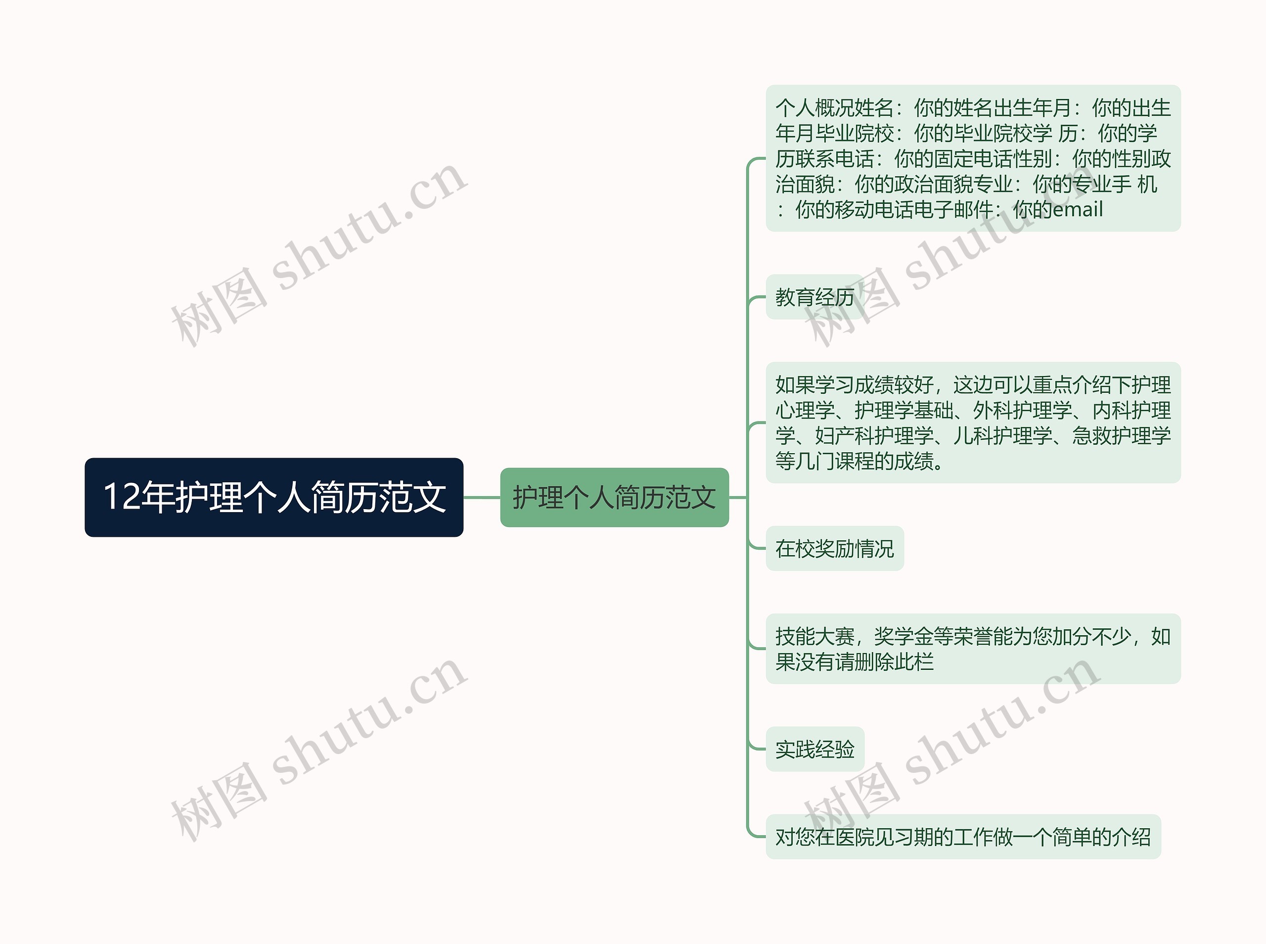 12年护理个人简历范文