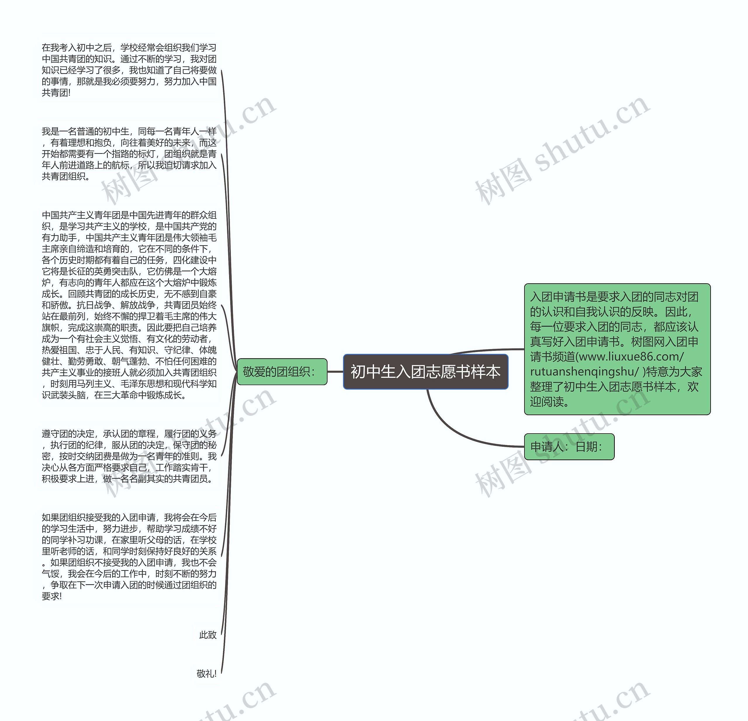 初中生入团志愿书样本