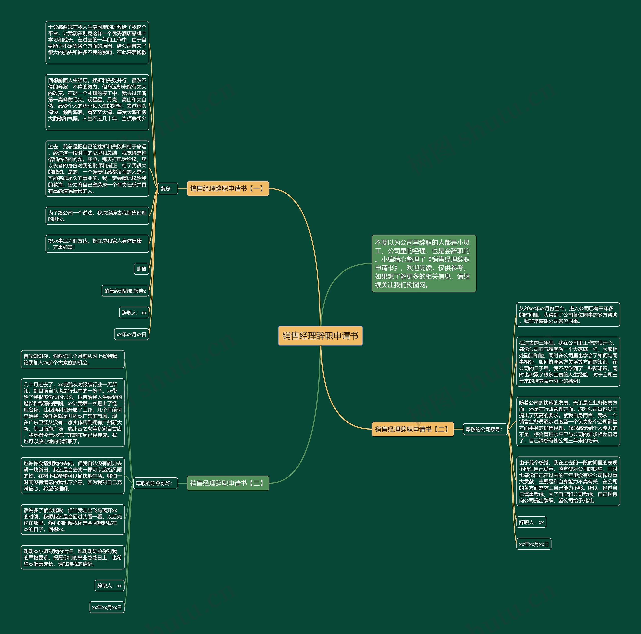 销售经理辞职申请书思维导图