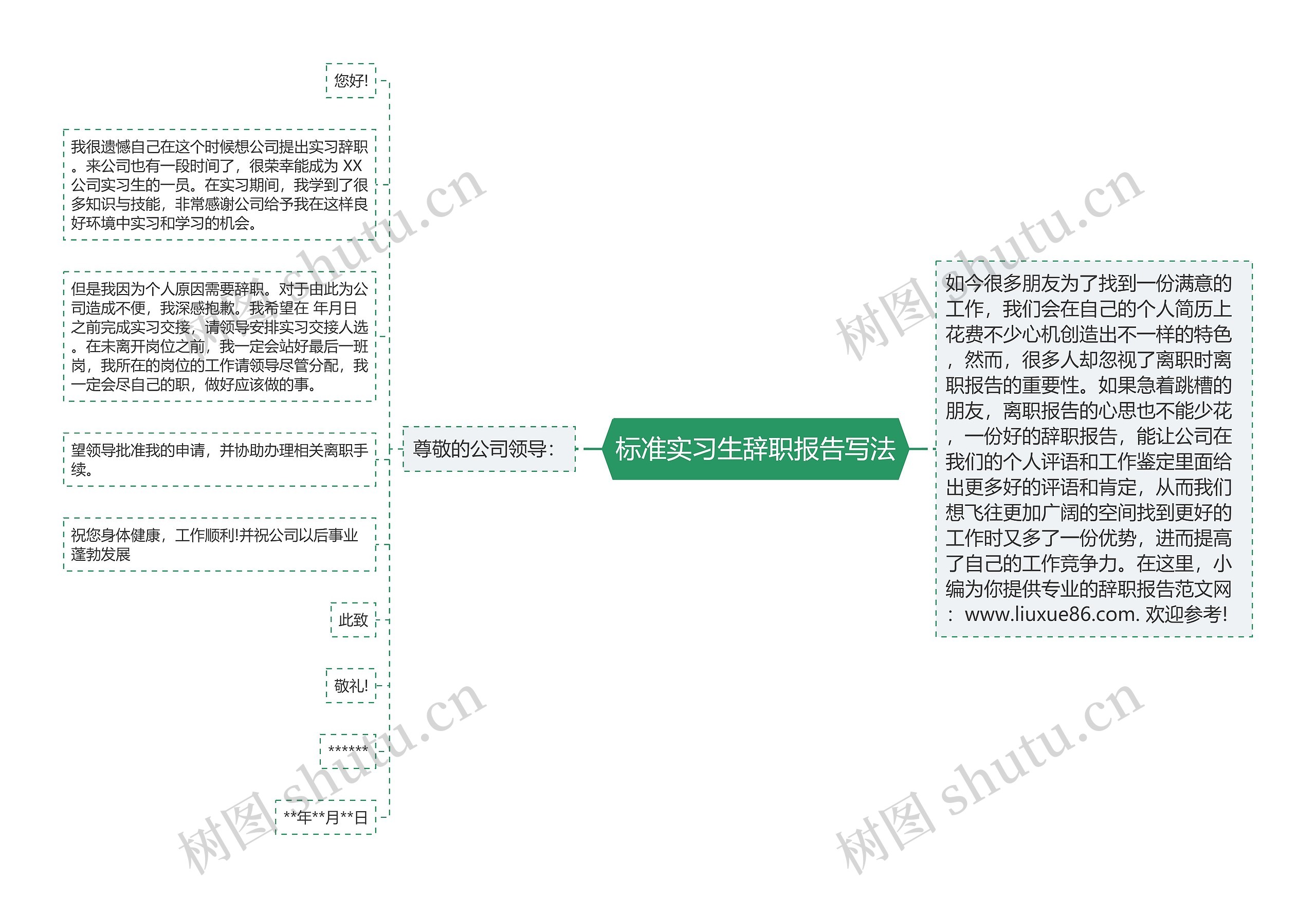 标准实习生辞职报告写法