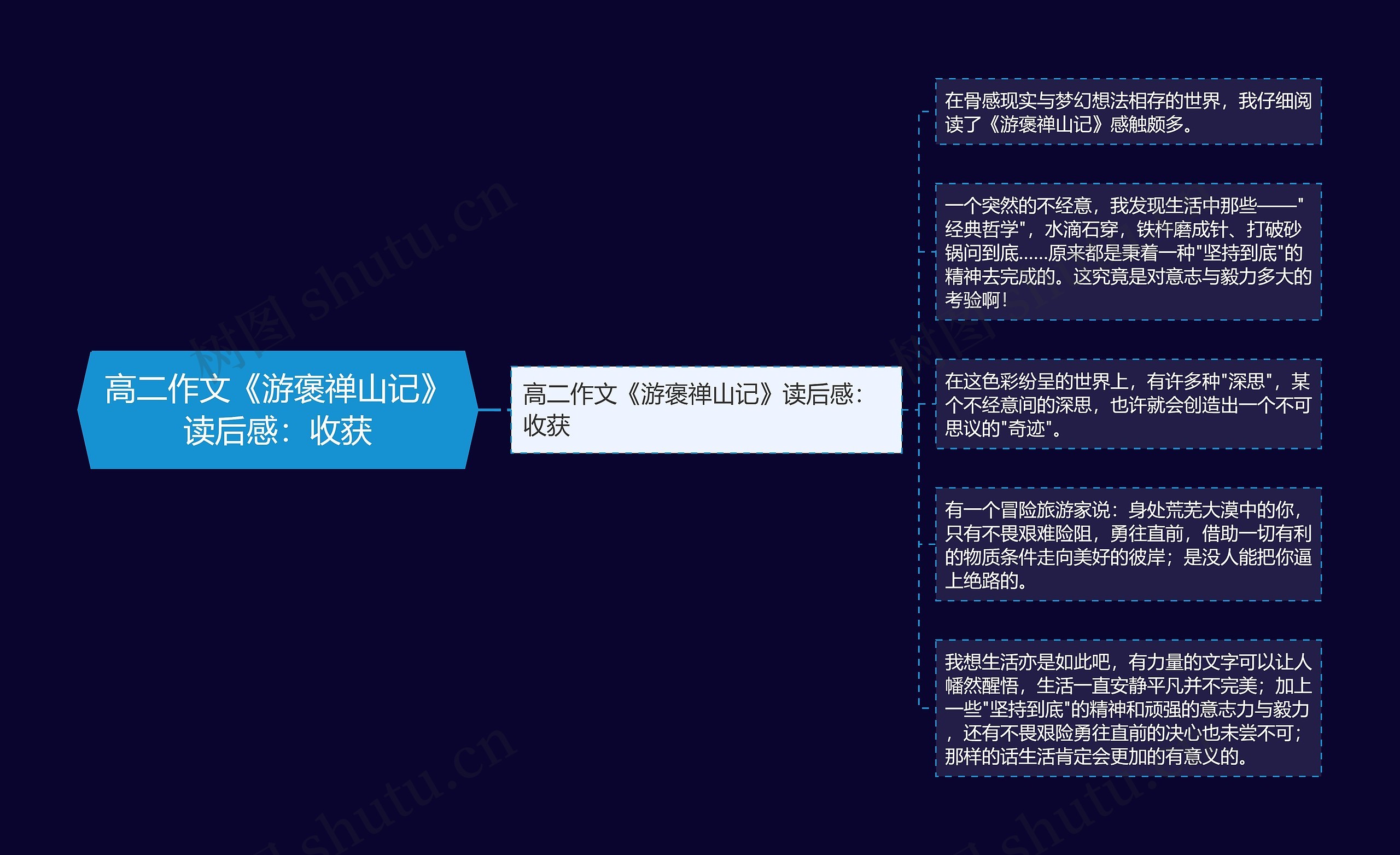 高二作文《游褒禅山记》读后感：收获