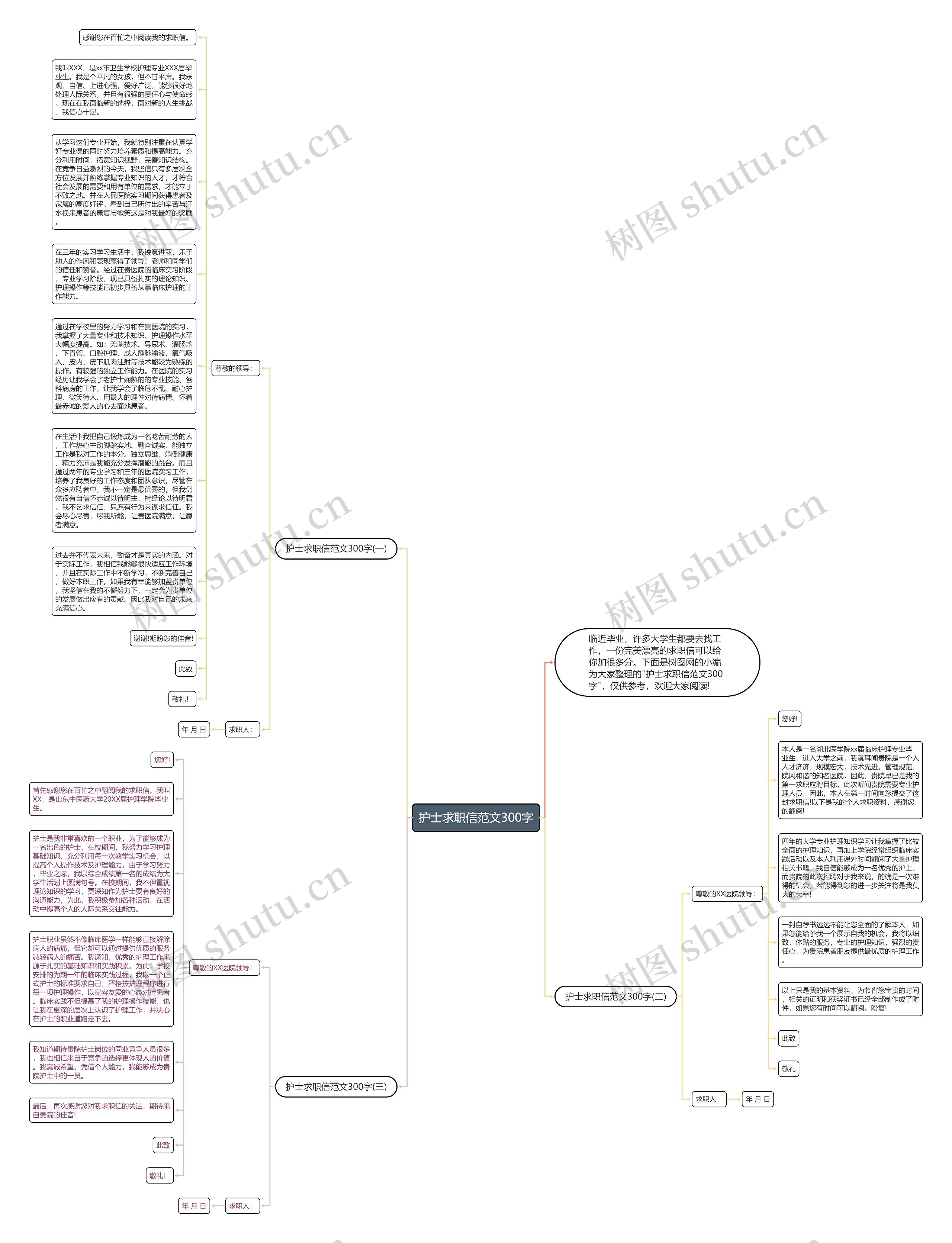 护士求职信范文300字思维导图