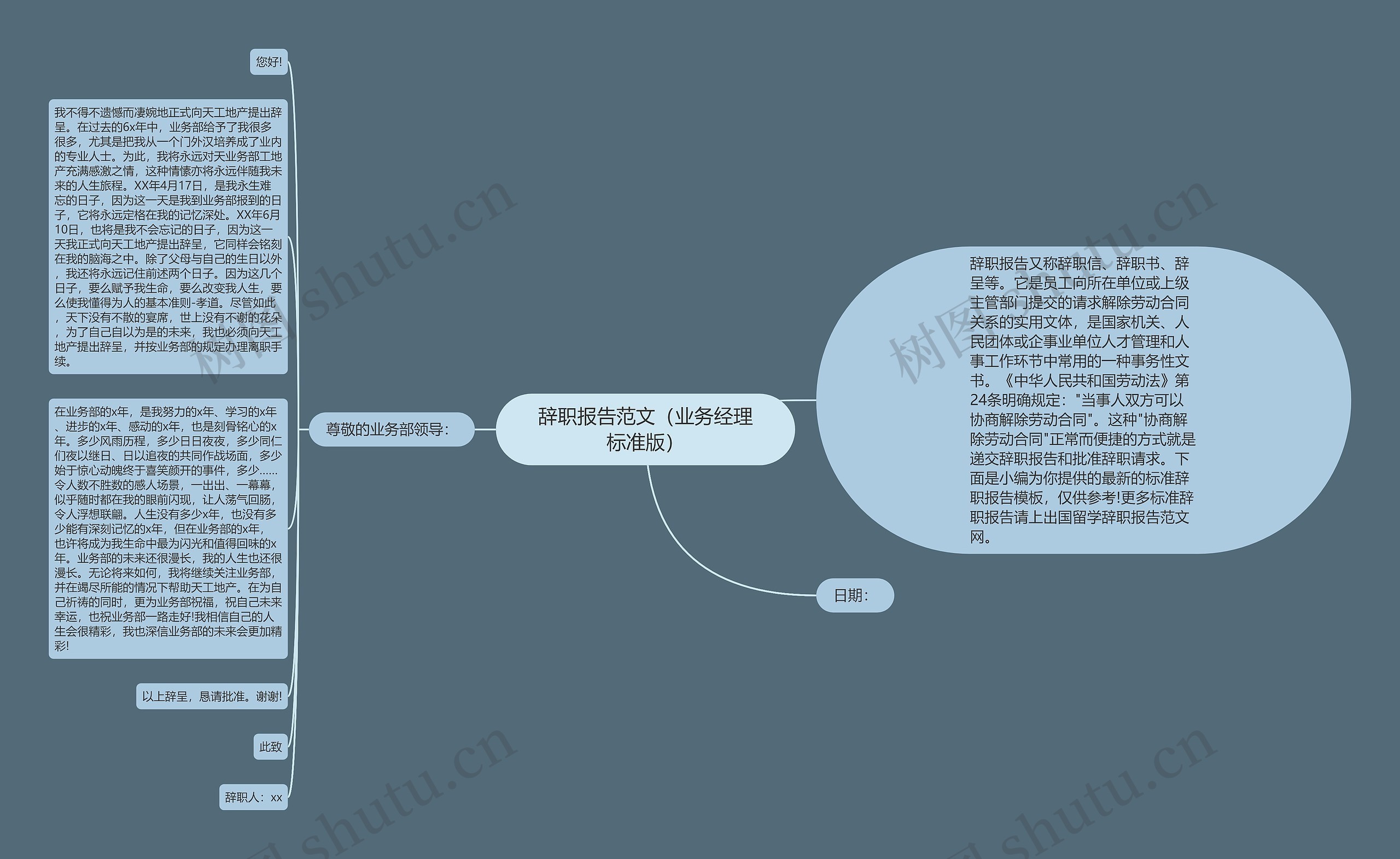 辞职报告范文（业务经理标准版）