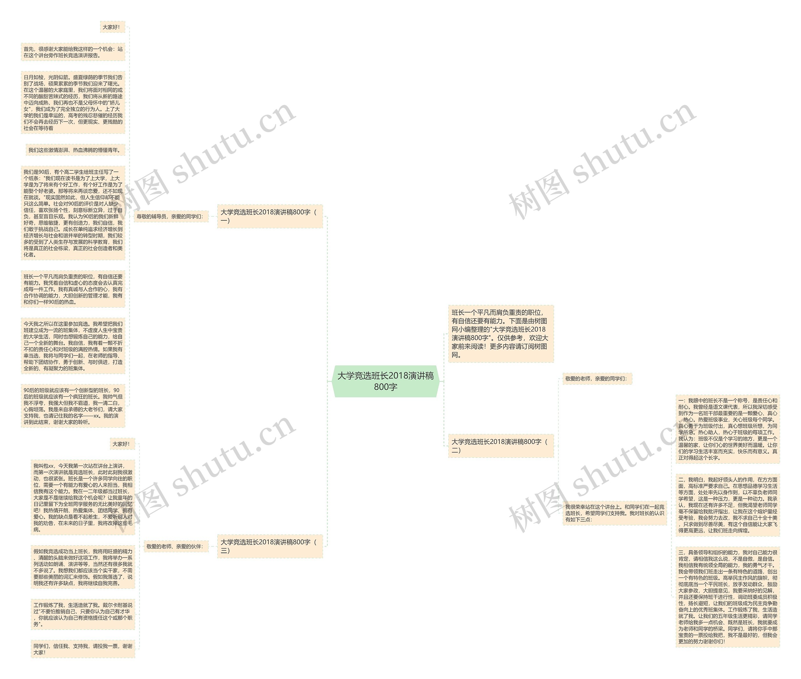 大学竞选班长2018演讲稿800字思维导图