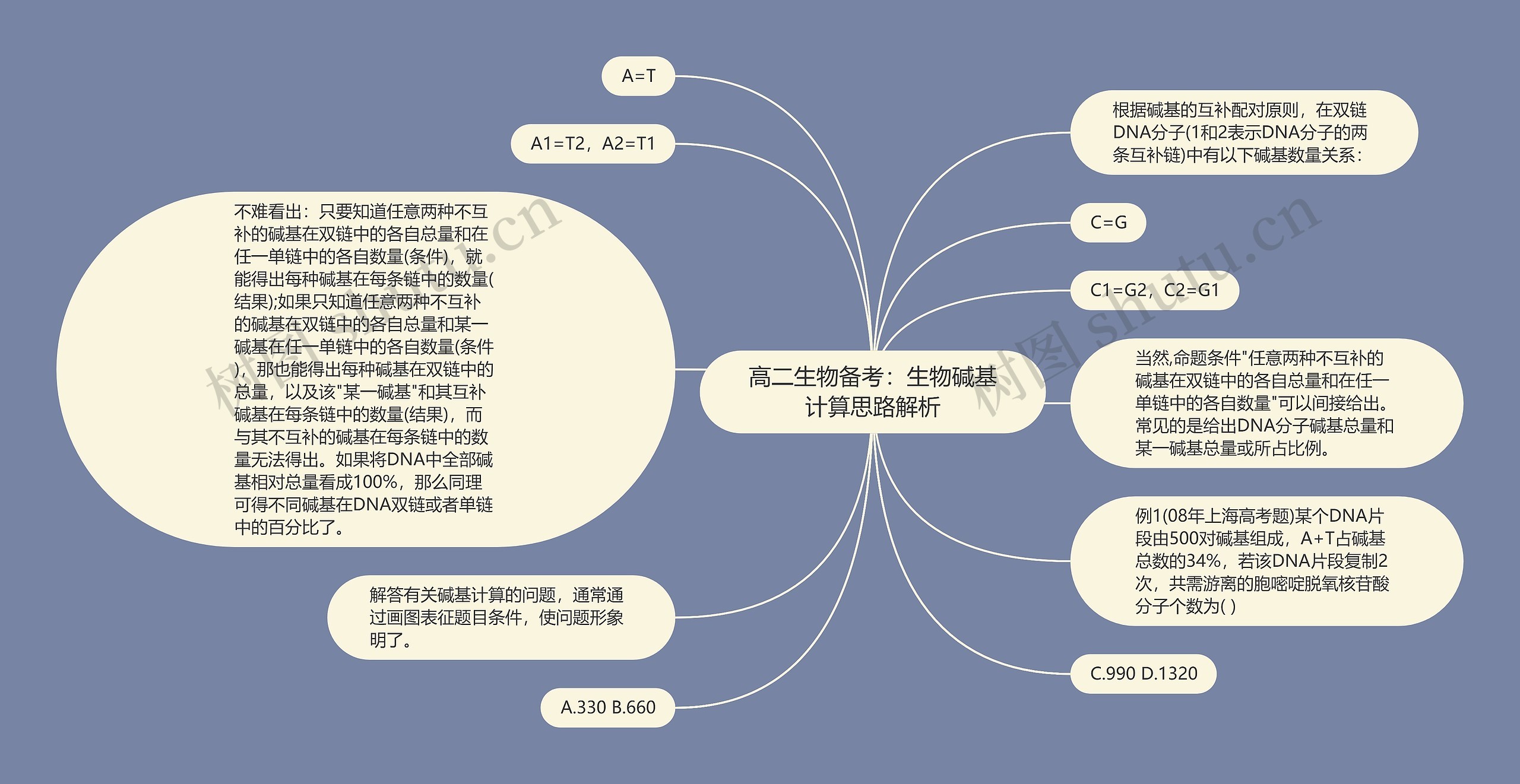 高二生物备考：生物碱基计算思路解析思维导图