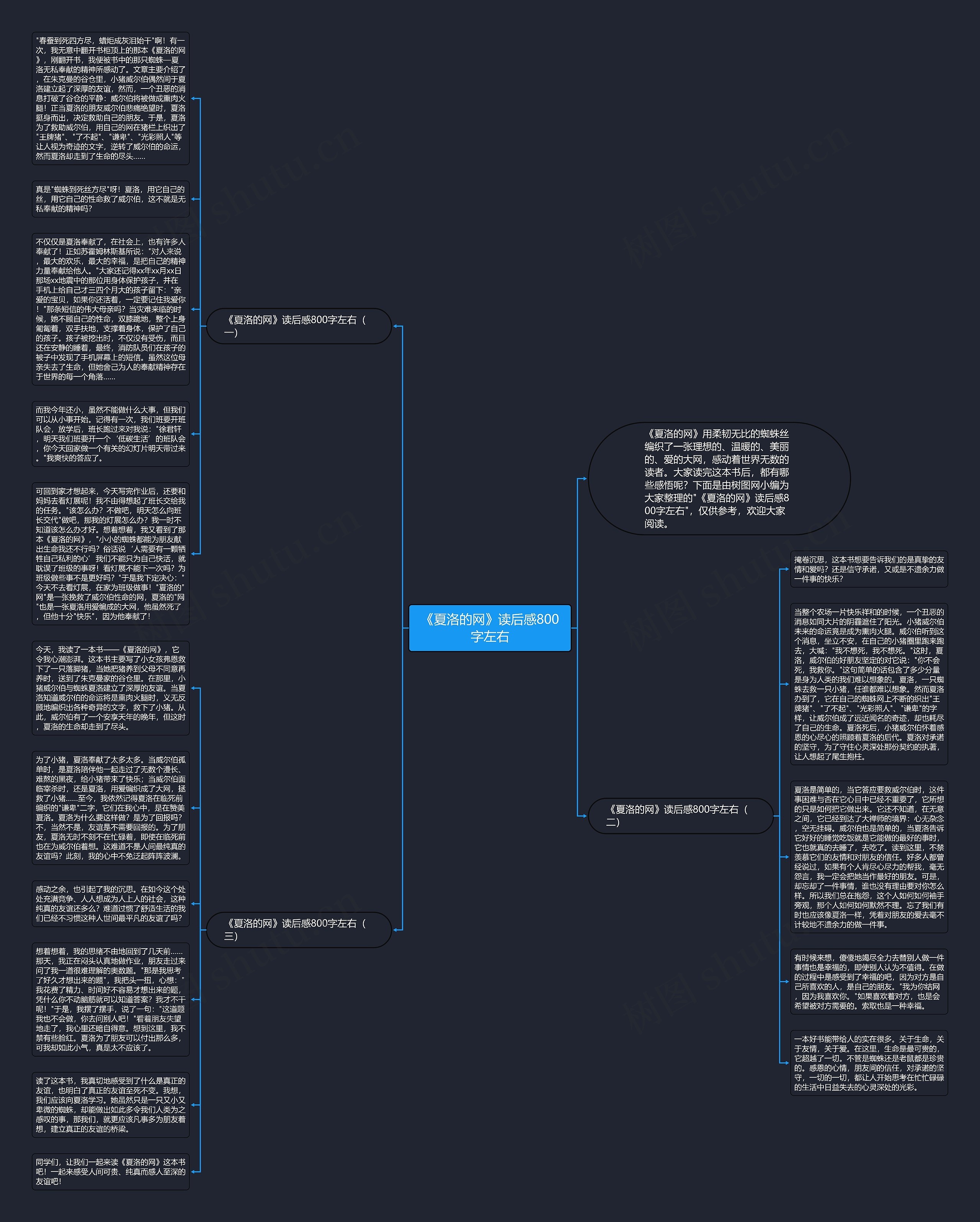 《夏洛的网》读后感800字左右思维导图