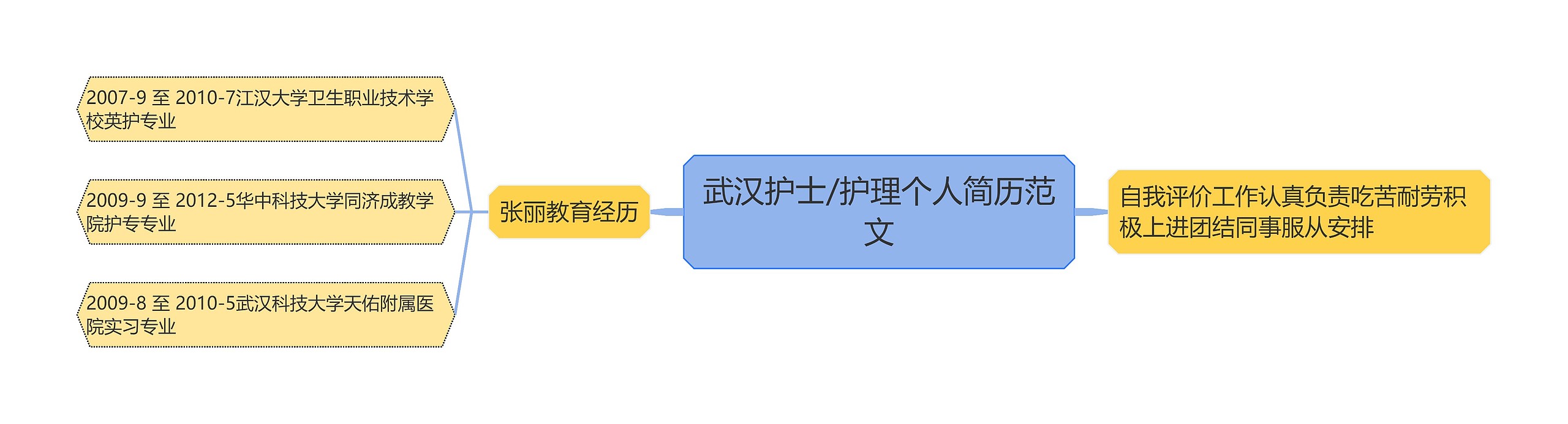 武汉护士/护理个人简历范文