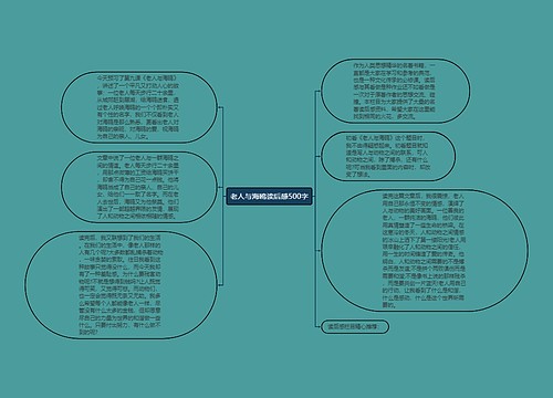 老人与海鸥读后感500字