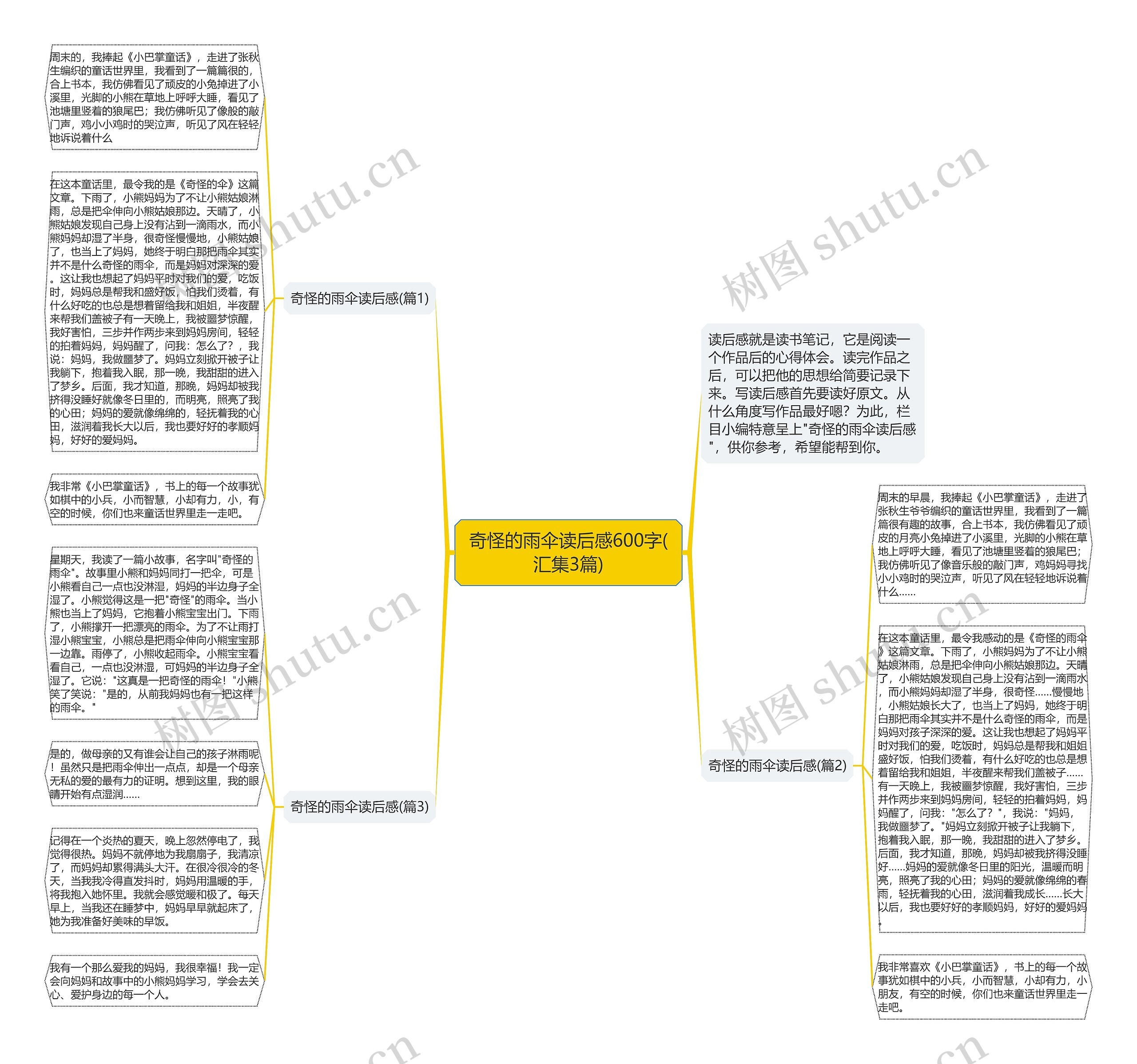 奇怪的雨伞读后感600字(汇集3篇)思维导图