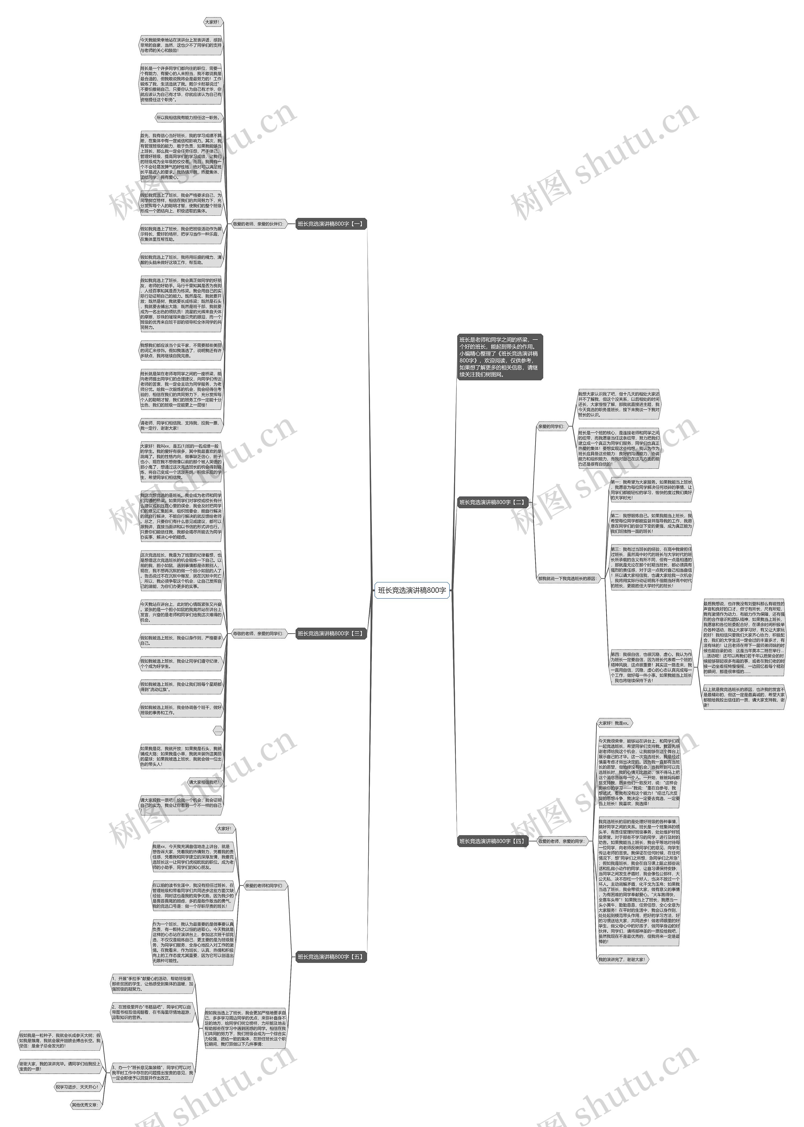 班长竞选演讲稿800字思维导图