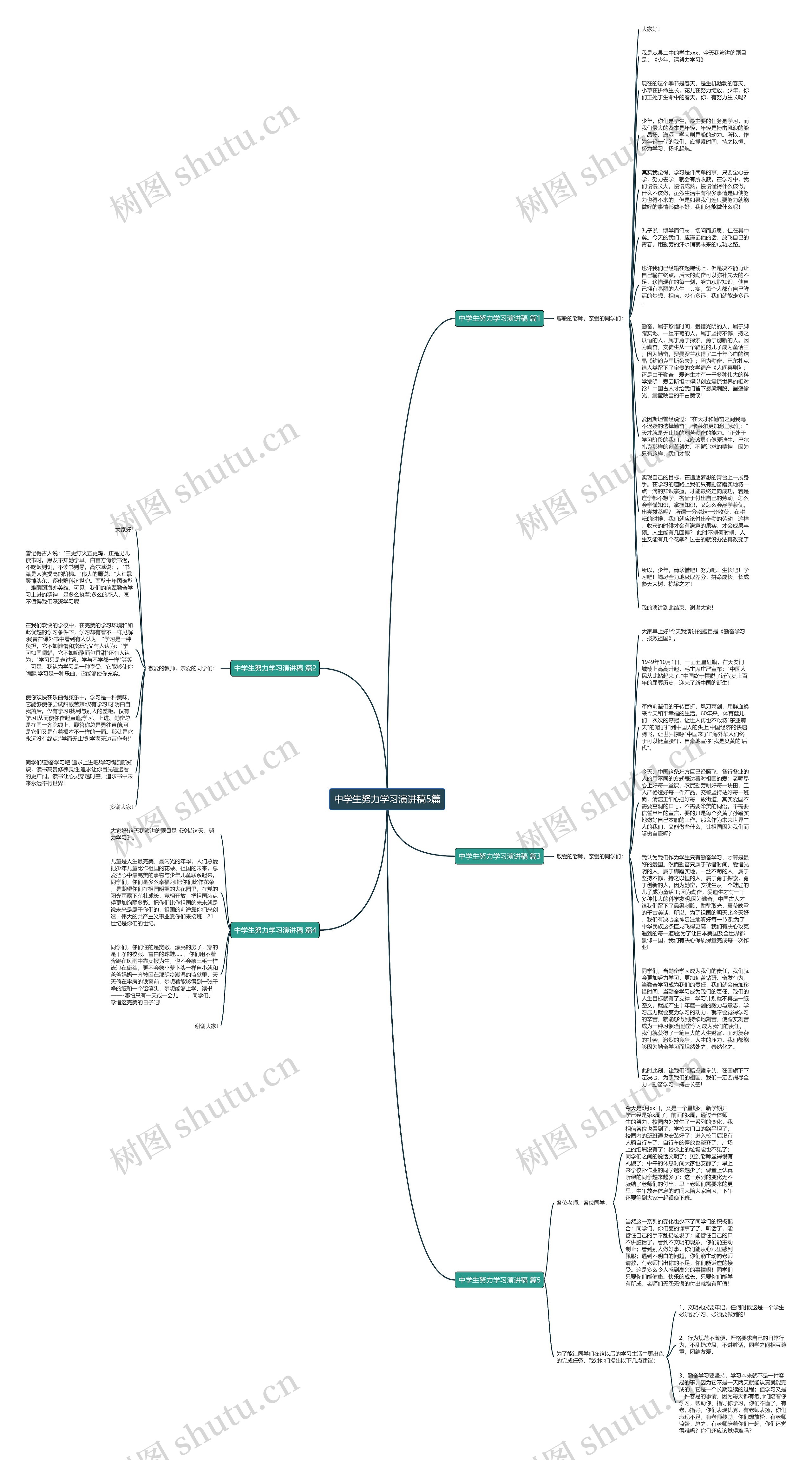 中学生努力学习演讲稿5篇思维导图
